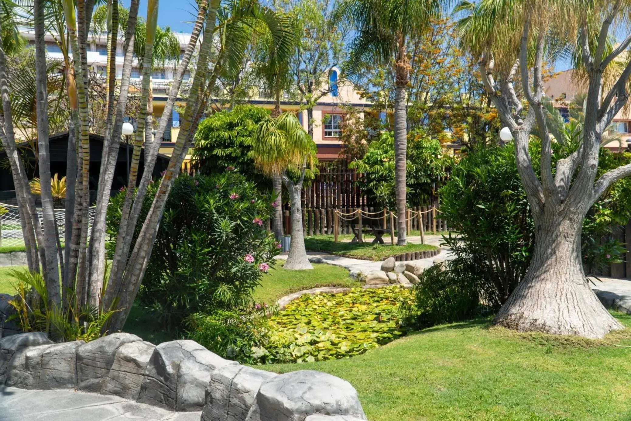 Garden view in Park Club Europe - All Inclusive Resort Garden view in Park Club Europe - All Inclusive Resort