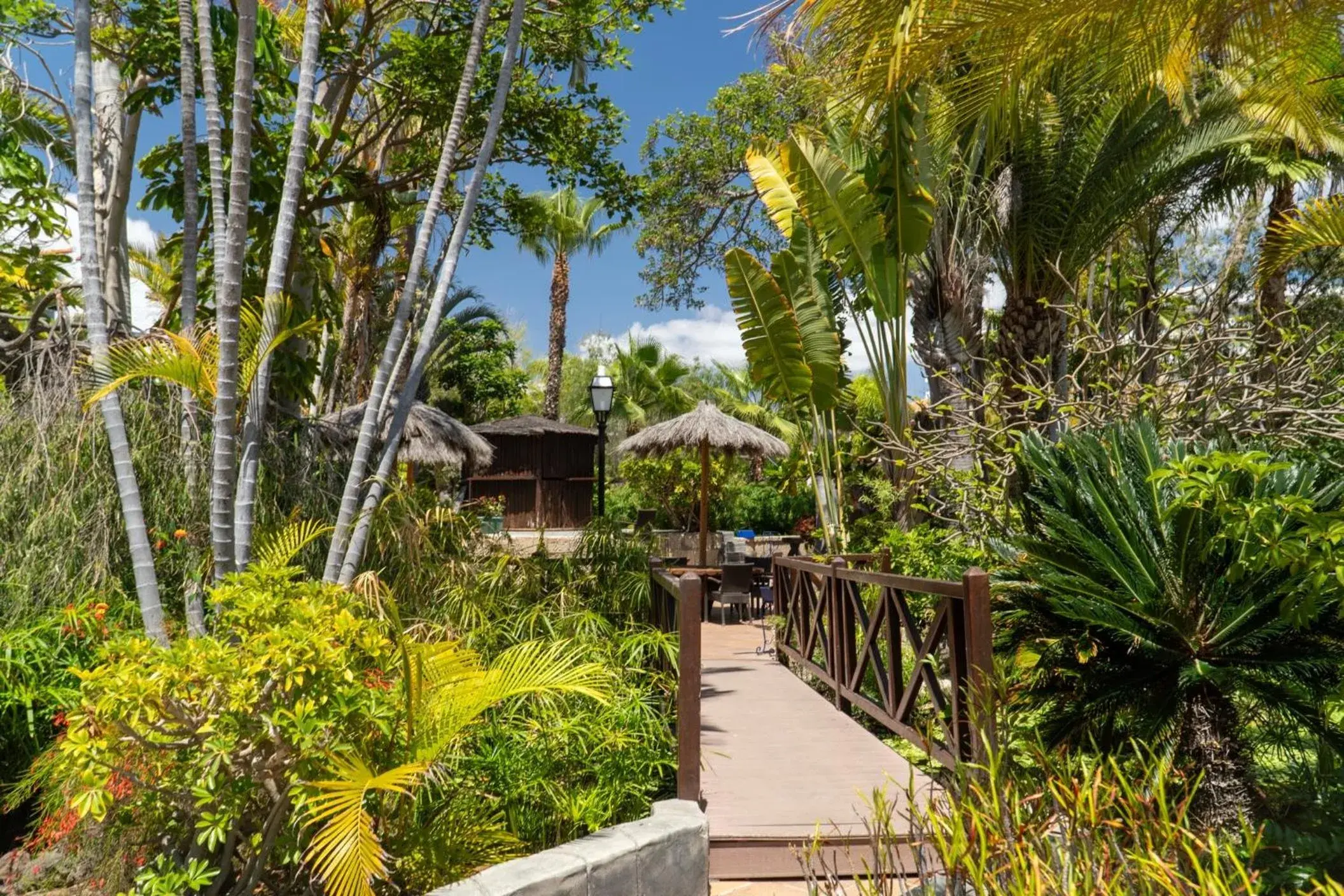 Garden view in Park Club Europe - All Inclusive Resort Garden view in Park Club Europe - All Inclusive Resort