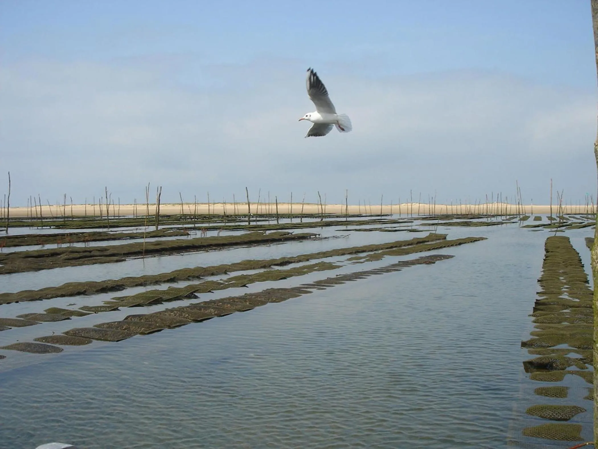 Other in Les Flots Bleus