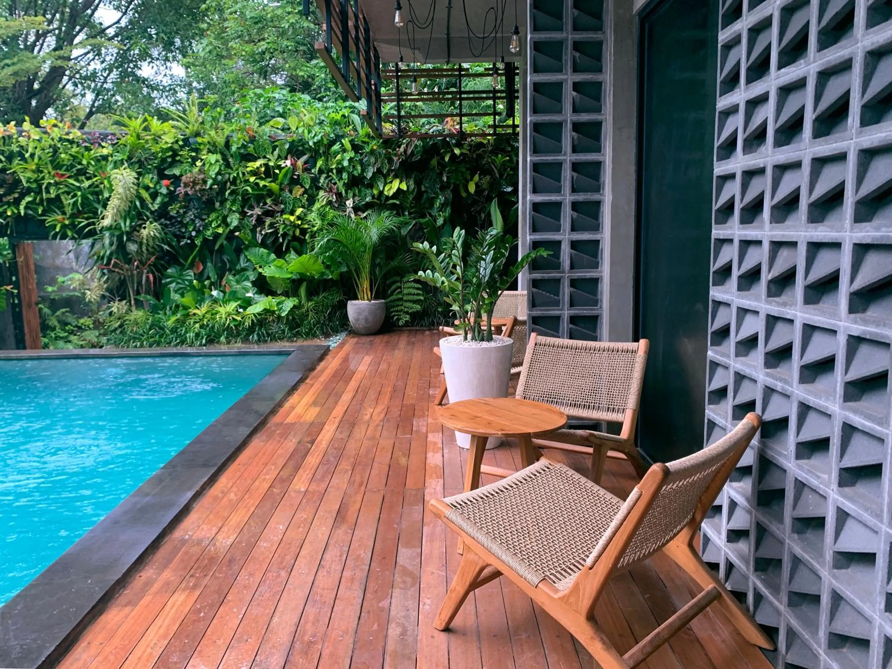 Day in Leafy Home Canggu