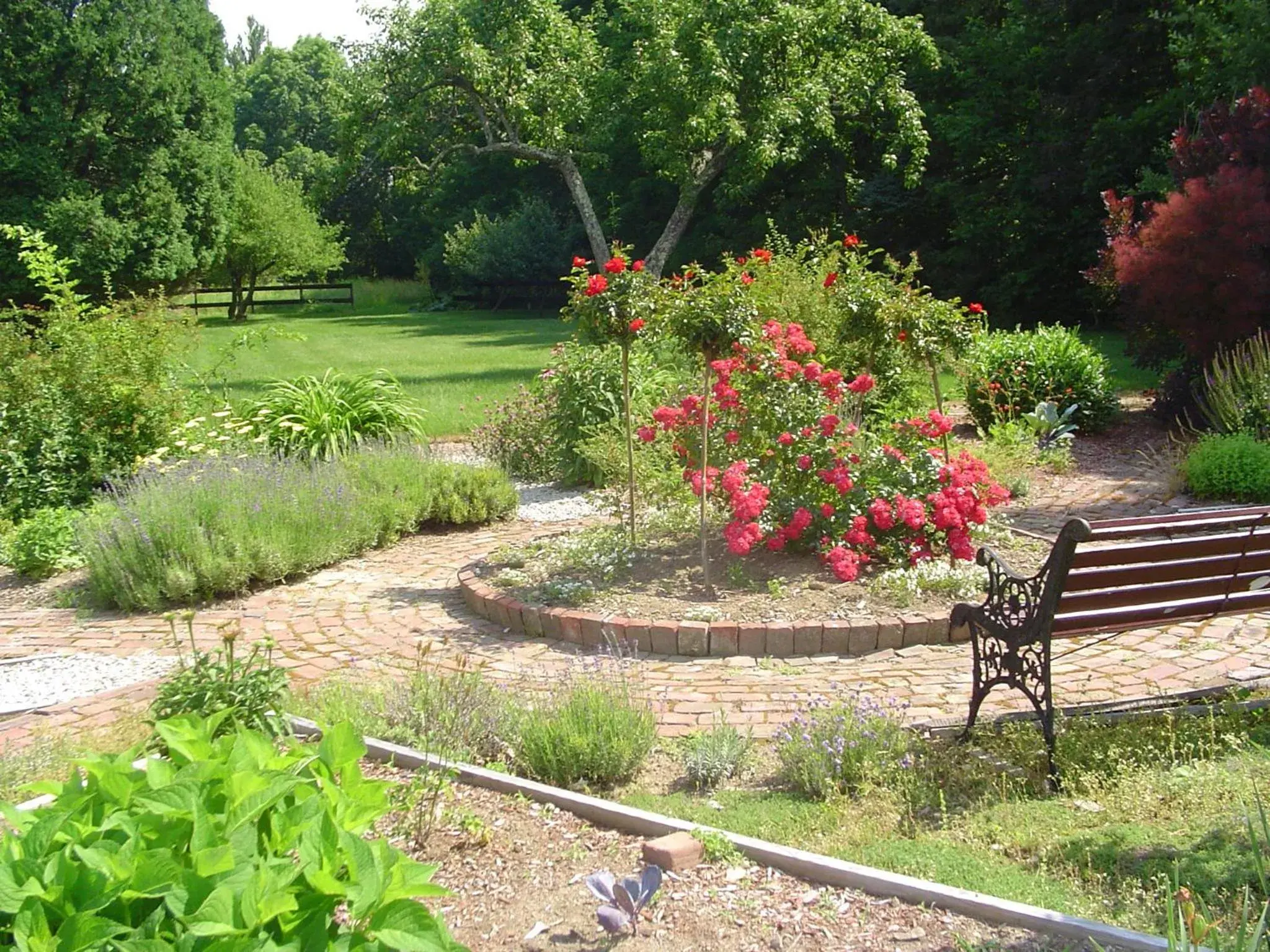 Garden in Stephen Clay Homestead Bed and Breakfast Garden in Stephen Clay Homestead Bed and Breakfast