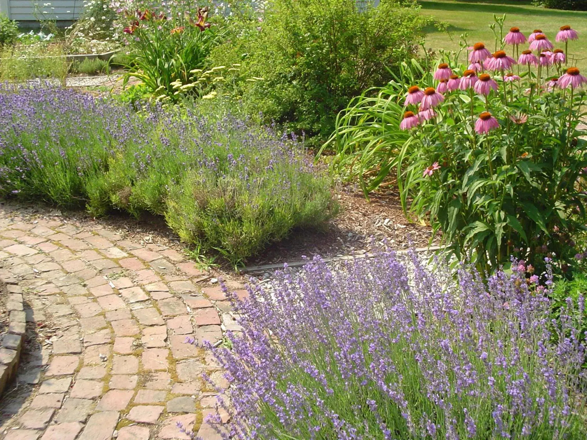 Garden in Stephen Clay Homestead Bed and Breakfast Garden in Stephen Clay Homestead Bed and Breakfast