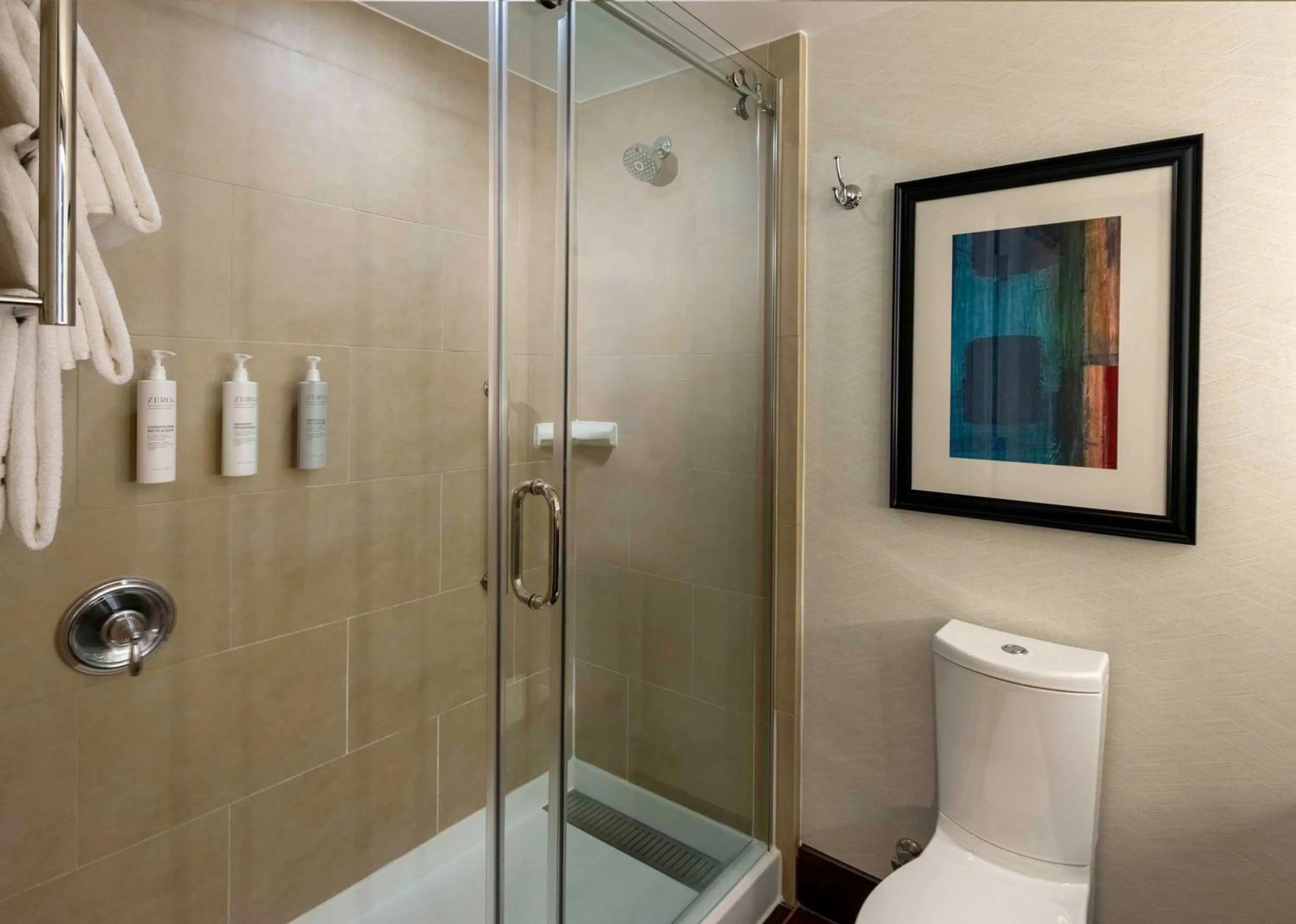 Bathroom in Hilton Garden Inn Washington DC/Georgetown Area