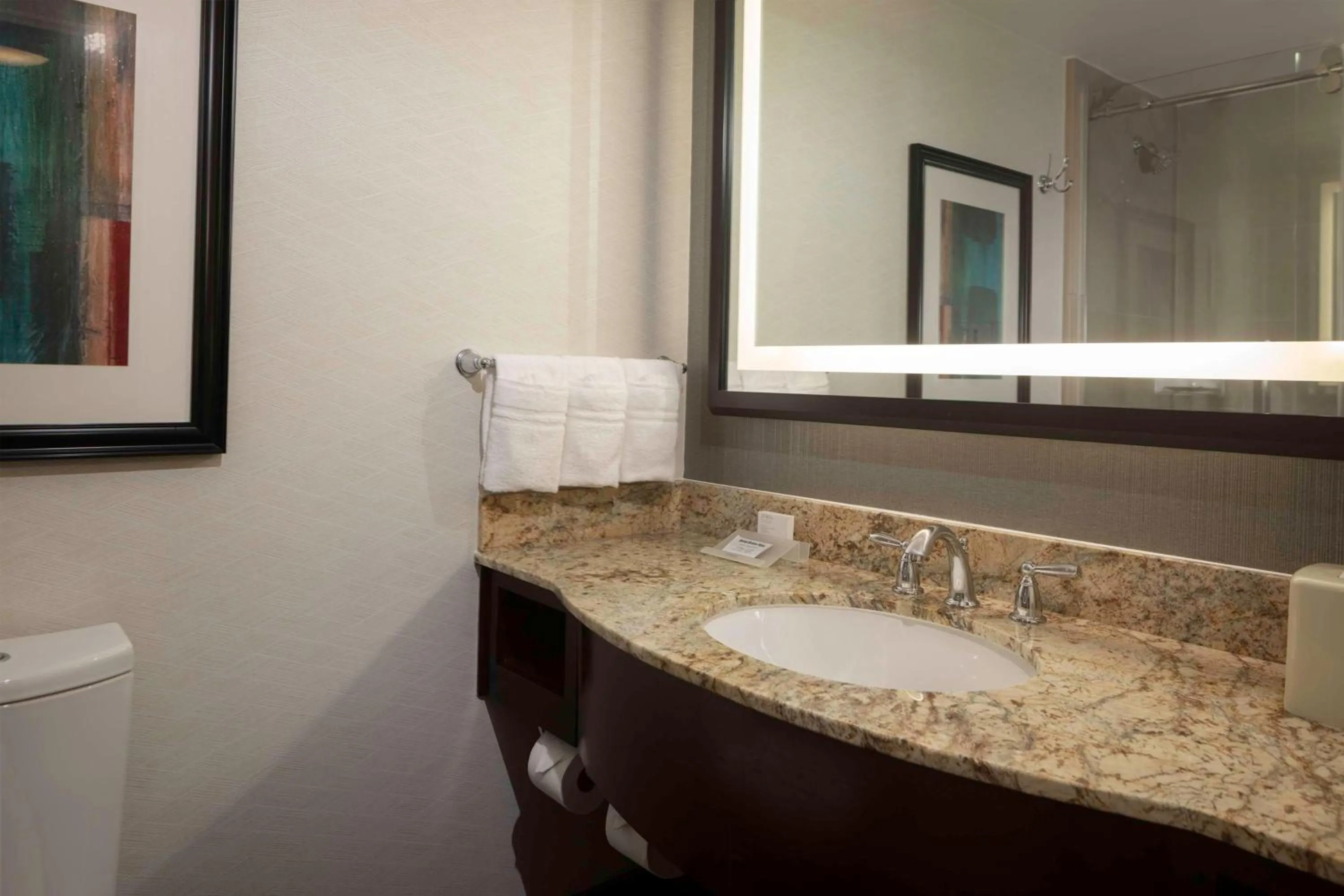 Bathroom in Hilton Garden Inn Washington DC/Georgetown Area