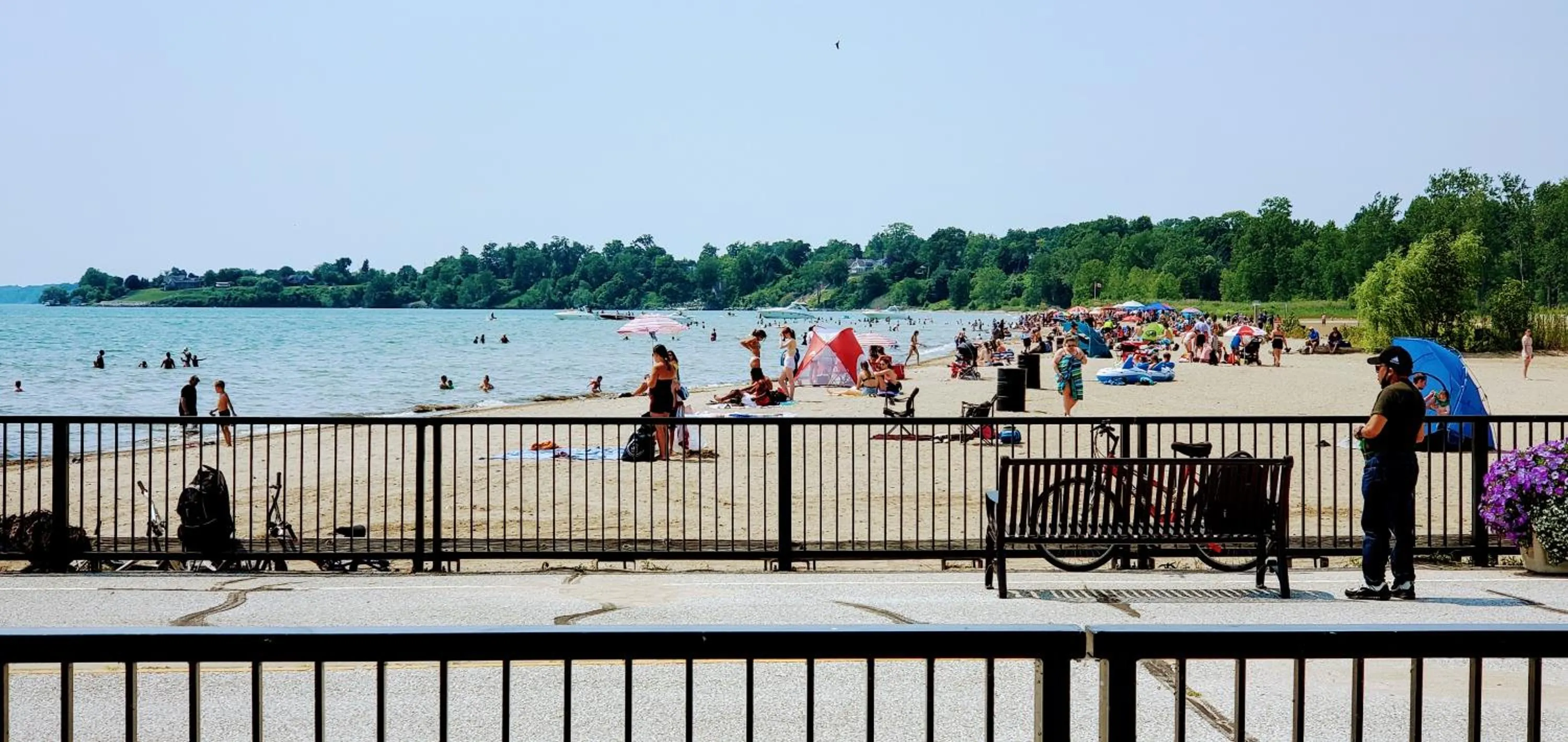 Beach in Coastal Suite #1 Cozy Suite #2 - Seacliff Beach Suites