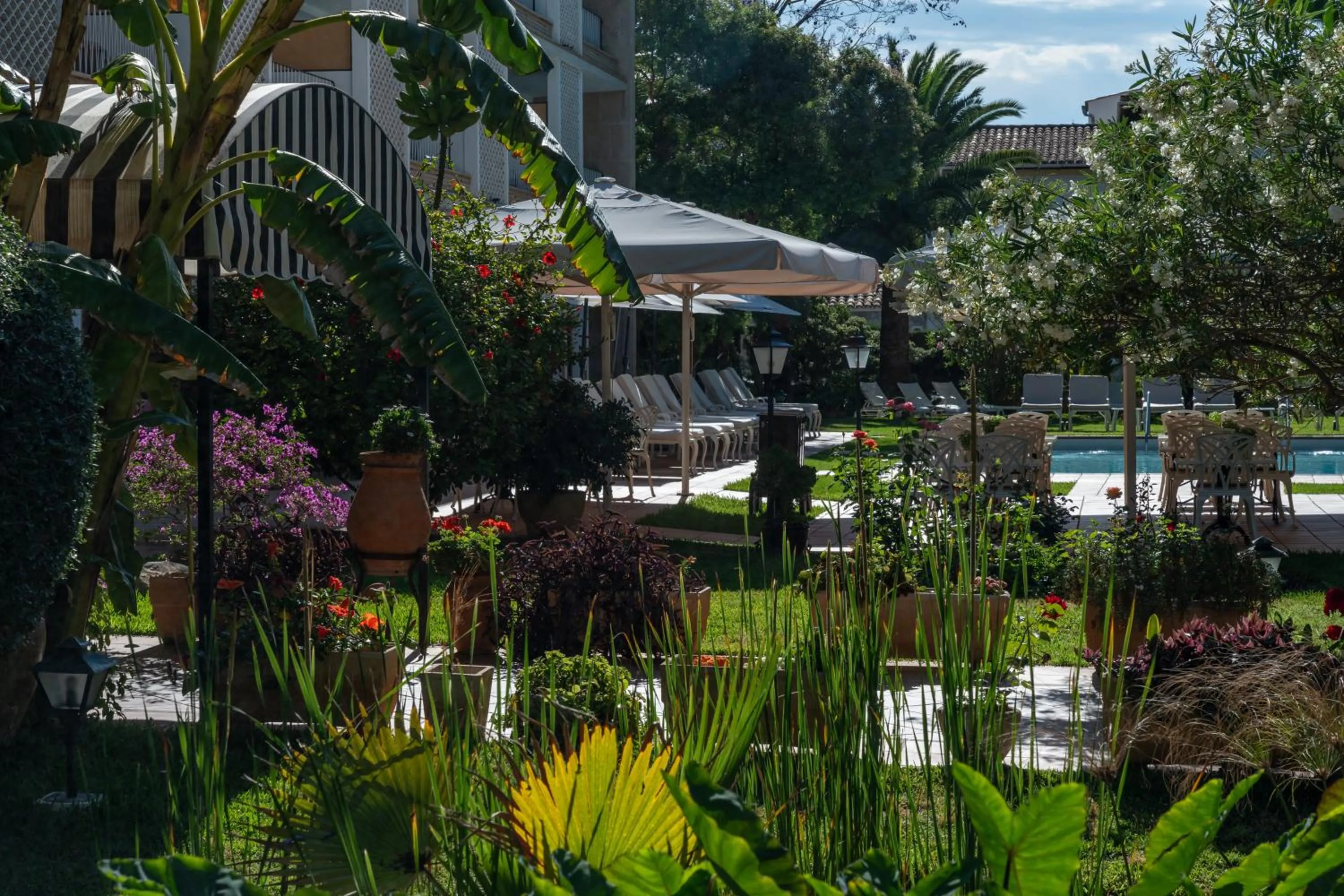 Garden in Hotel Araxa - Adults Only