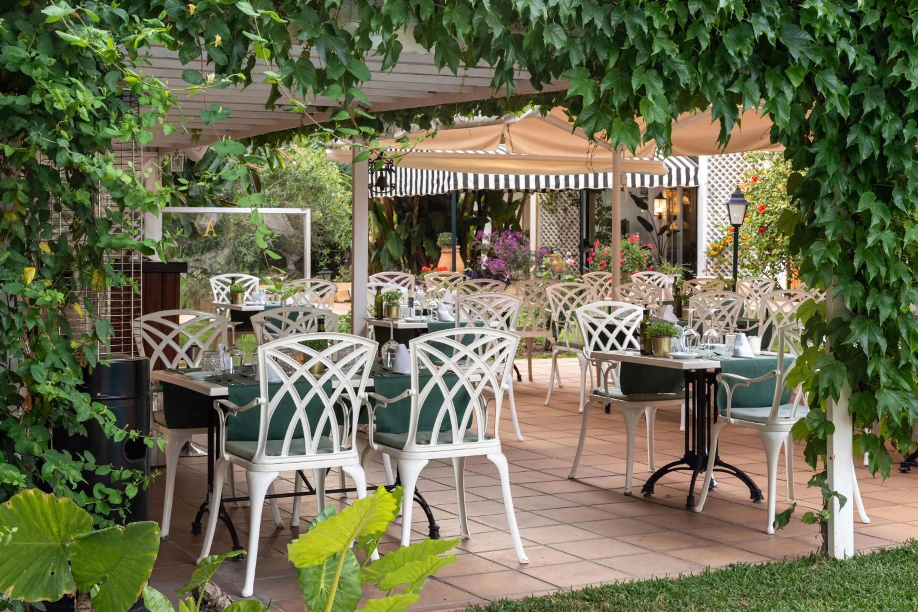 Restaurant/places to eat in Hotel Araxa - Adults Only