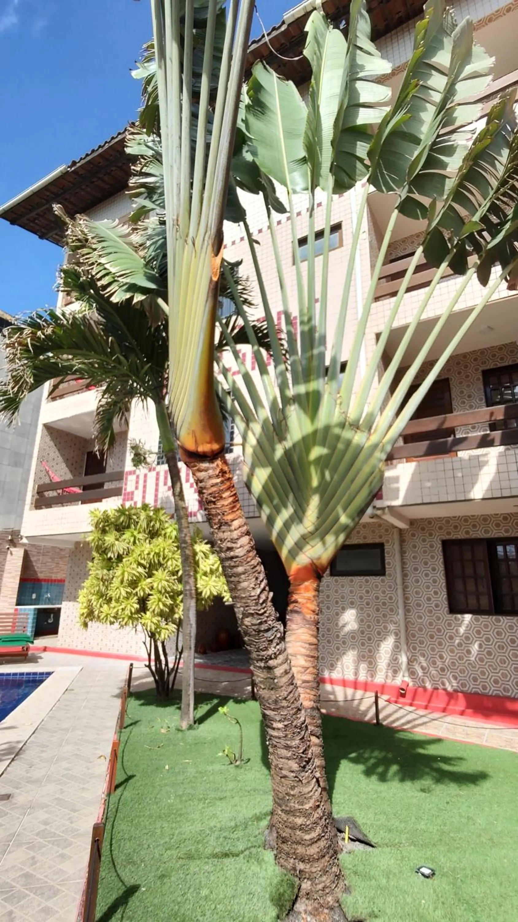 Property building in Hotel Pousada Bossa Nova