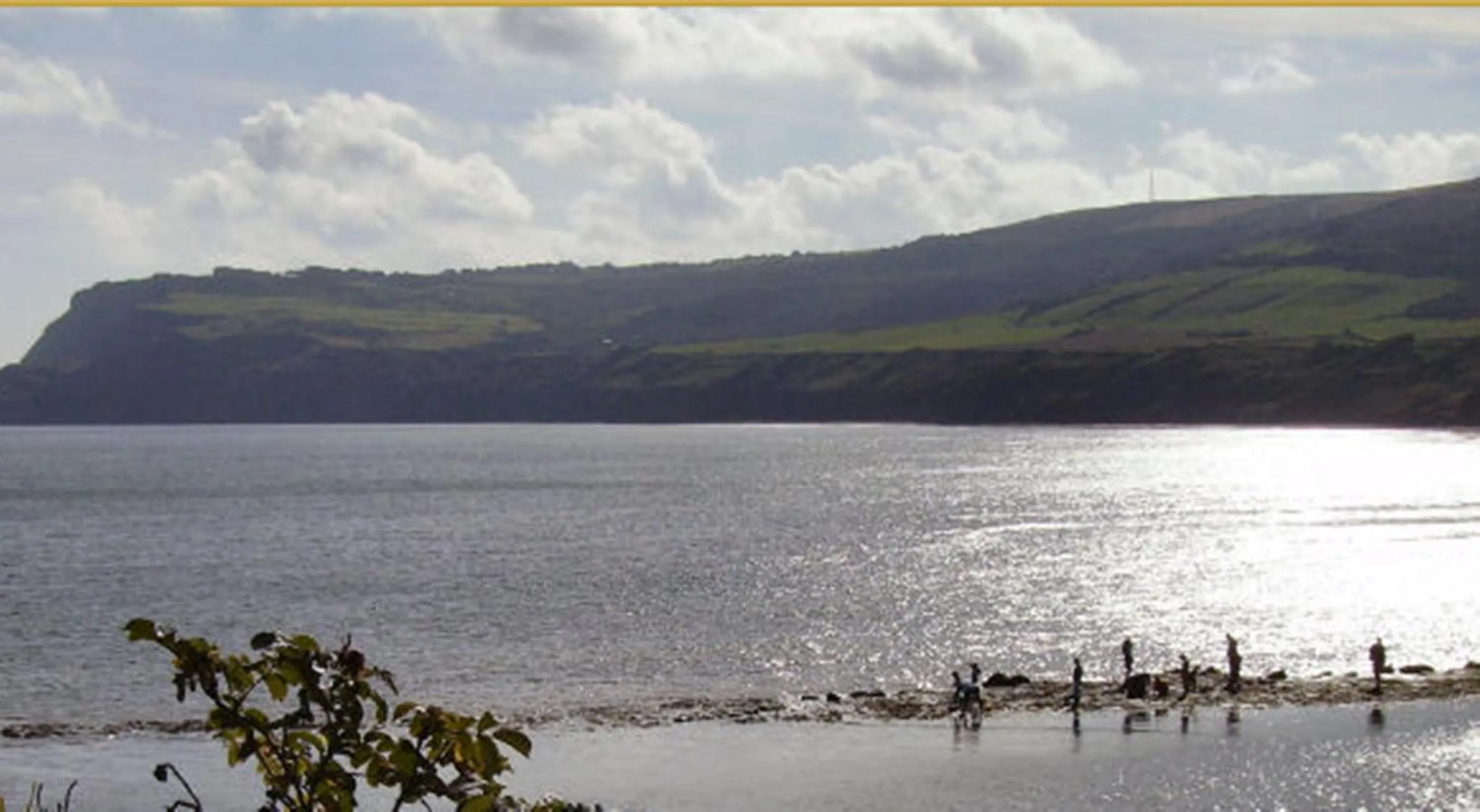 Area and facilities in Thorpe Green House Vegetarian Bed & Breakfast