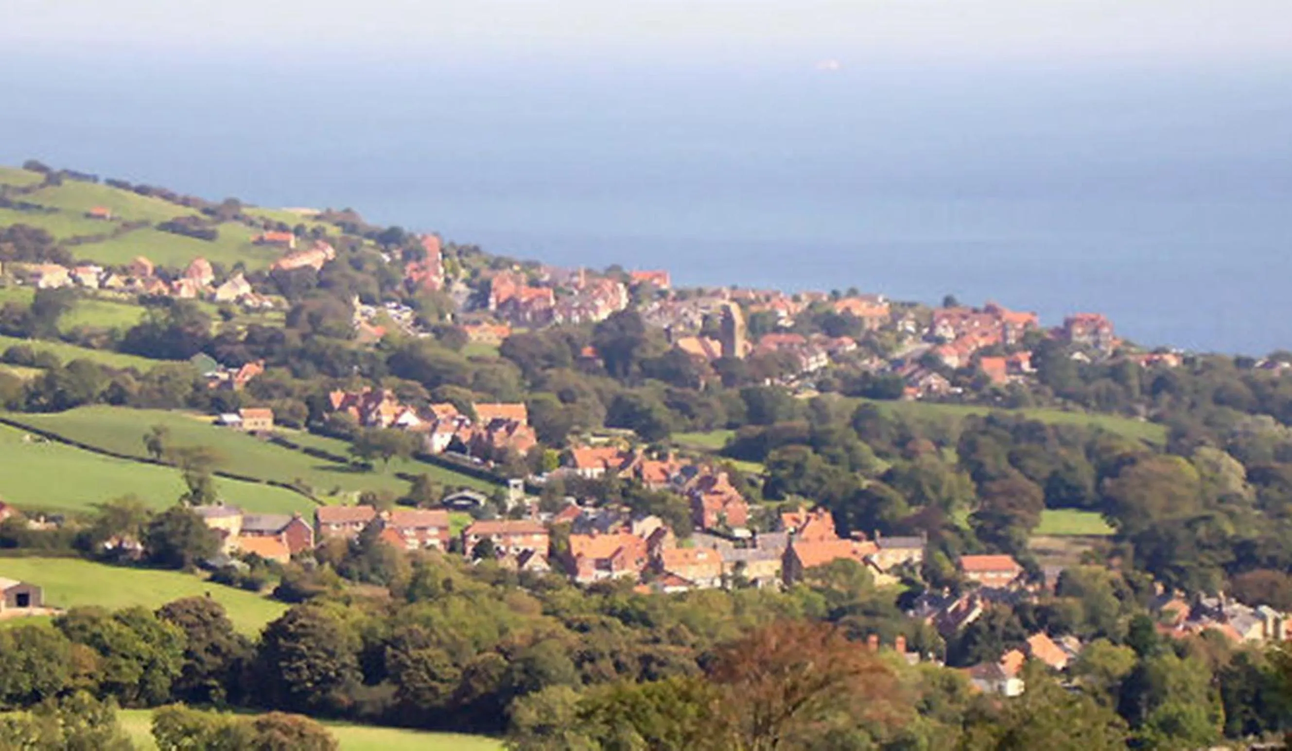 Area and facilities in Thorpe Green House Vegetarian Bed & Breakfast