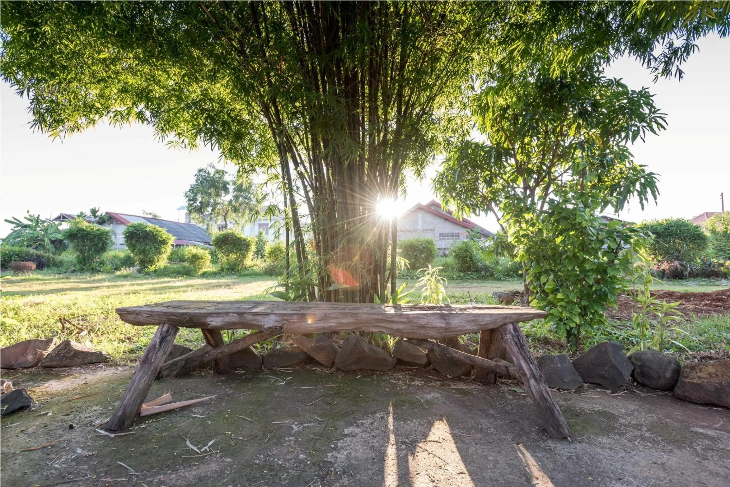 Garden view in Xuanmai Garden Resort