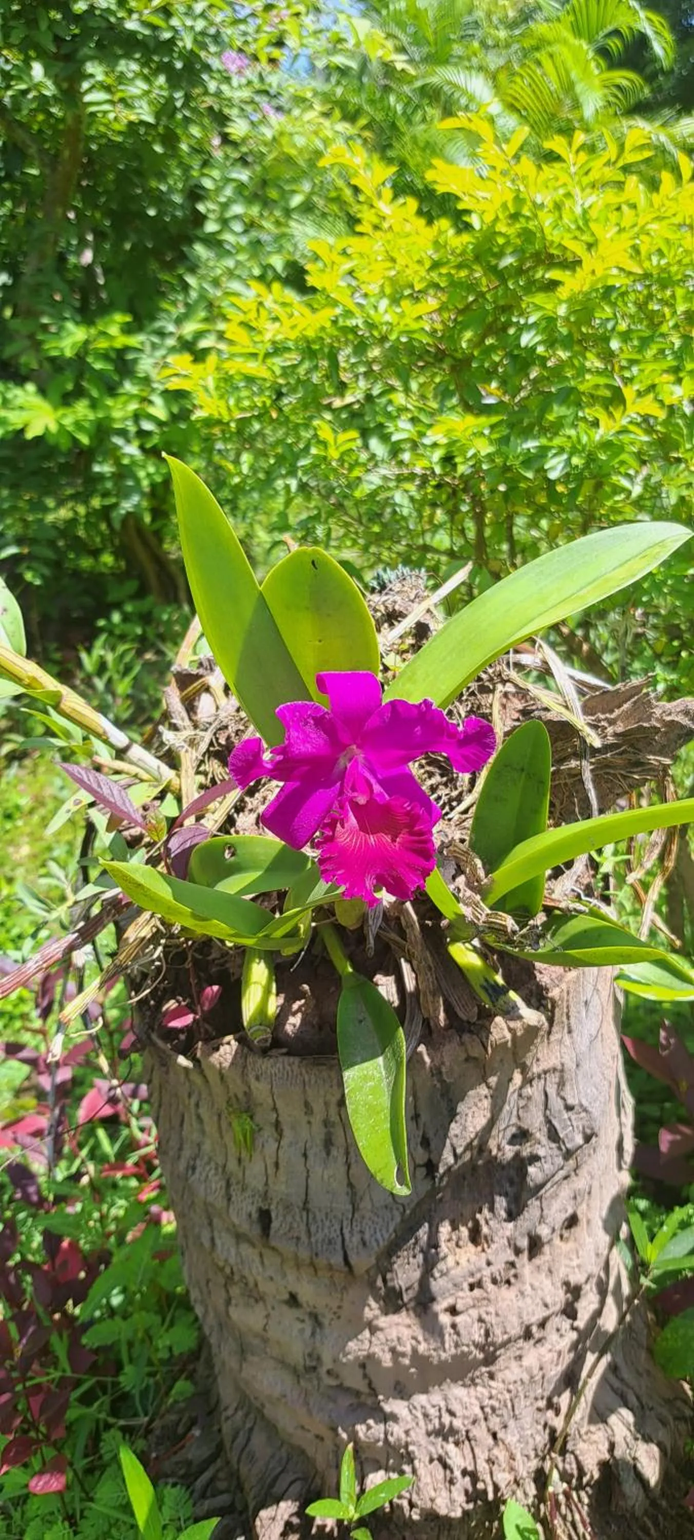 Xuanmai Garden Resort