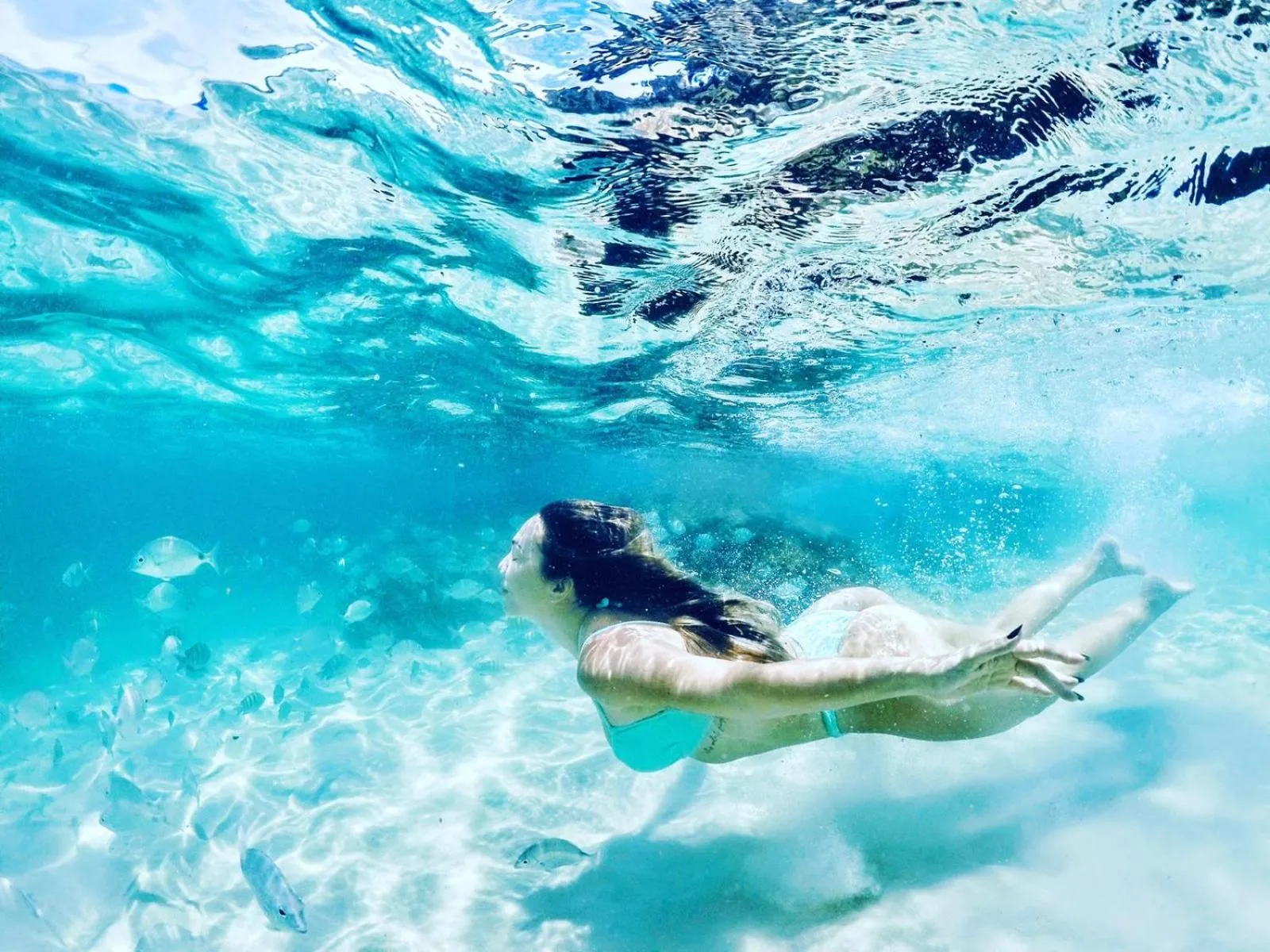 Natural landscape in Casinha verde