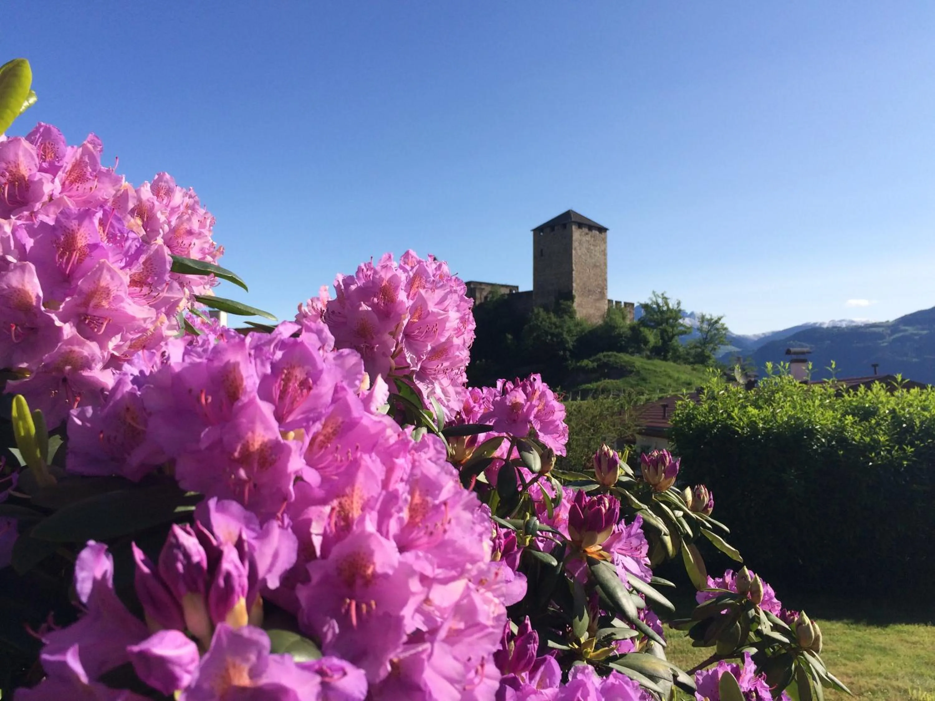 Spring in Pension an der Mayenburg