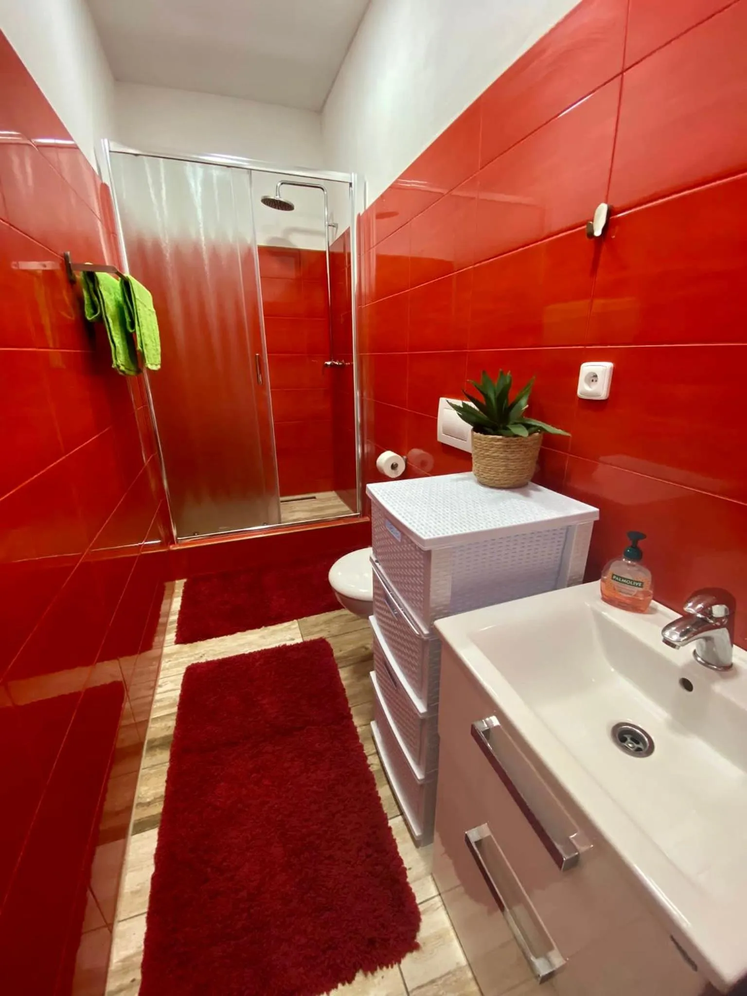 Shower in Thermal Apartments