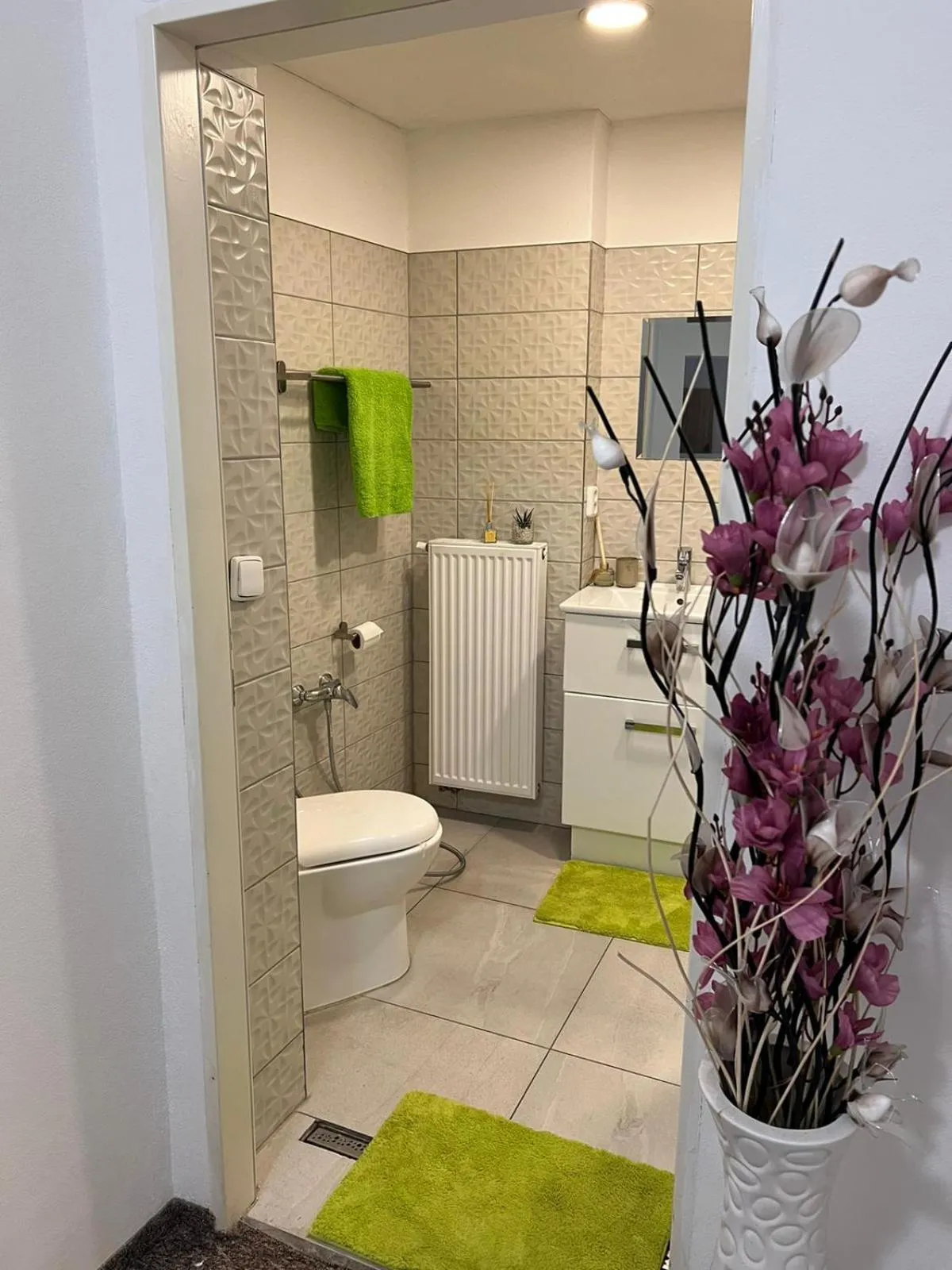 Shower in Thermal Apartments
