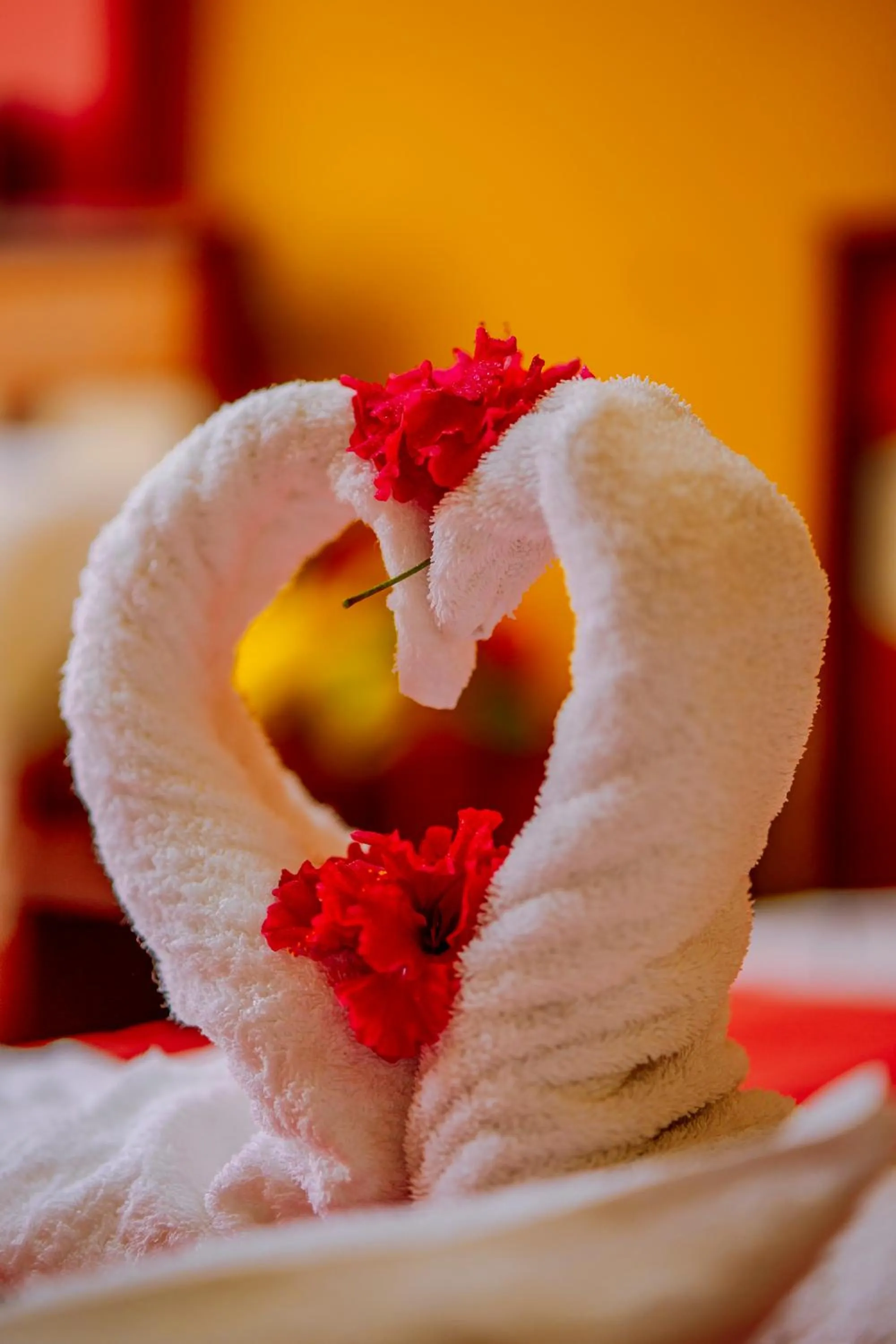 Yacumama Santa Teresa