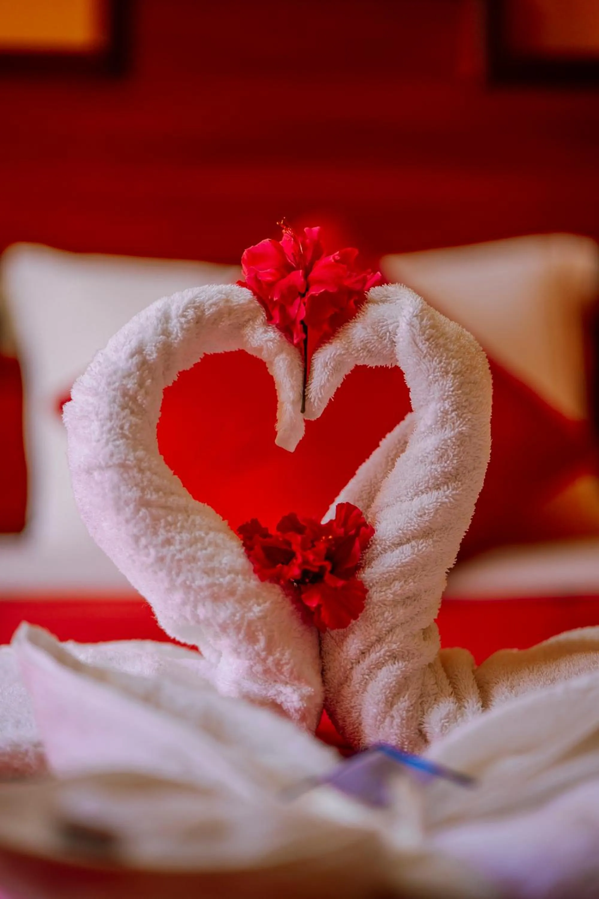 Bed in Yacumama Santa Teresa