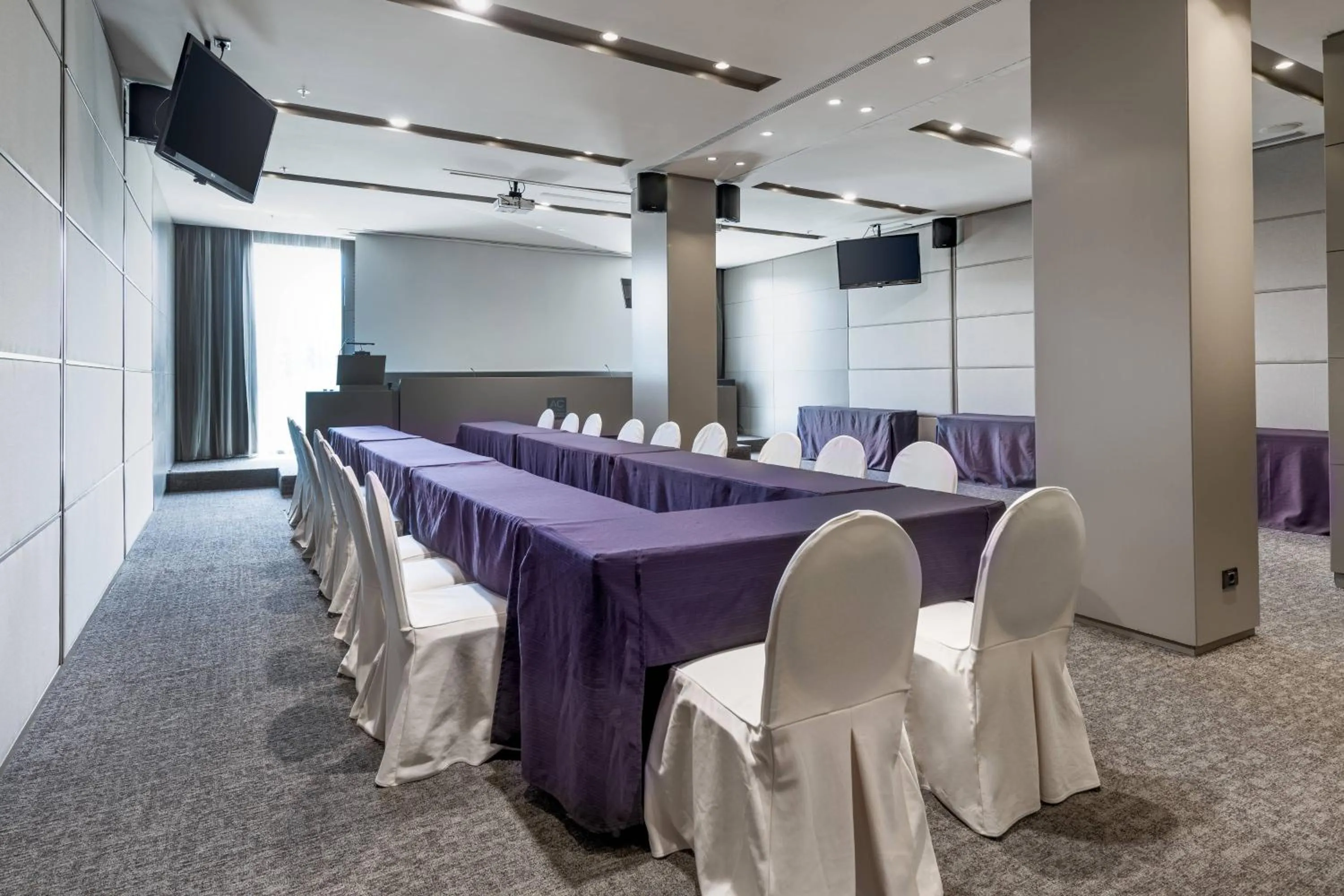 Meeting/conference room in AC Hotel Málaga Palacio by Marriott