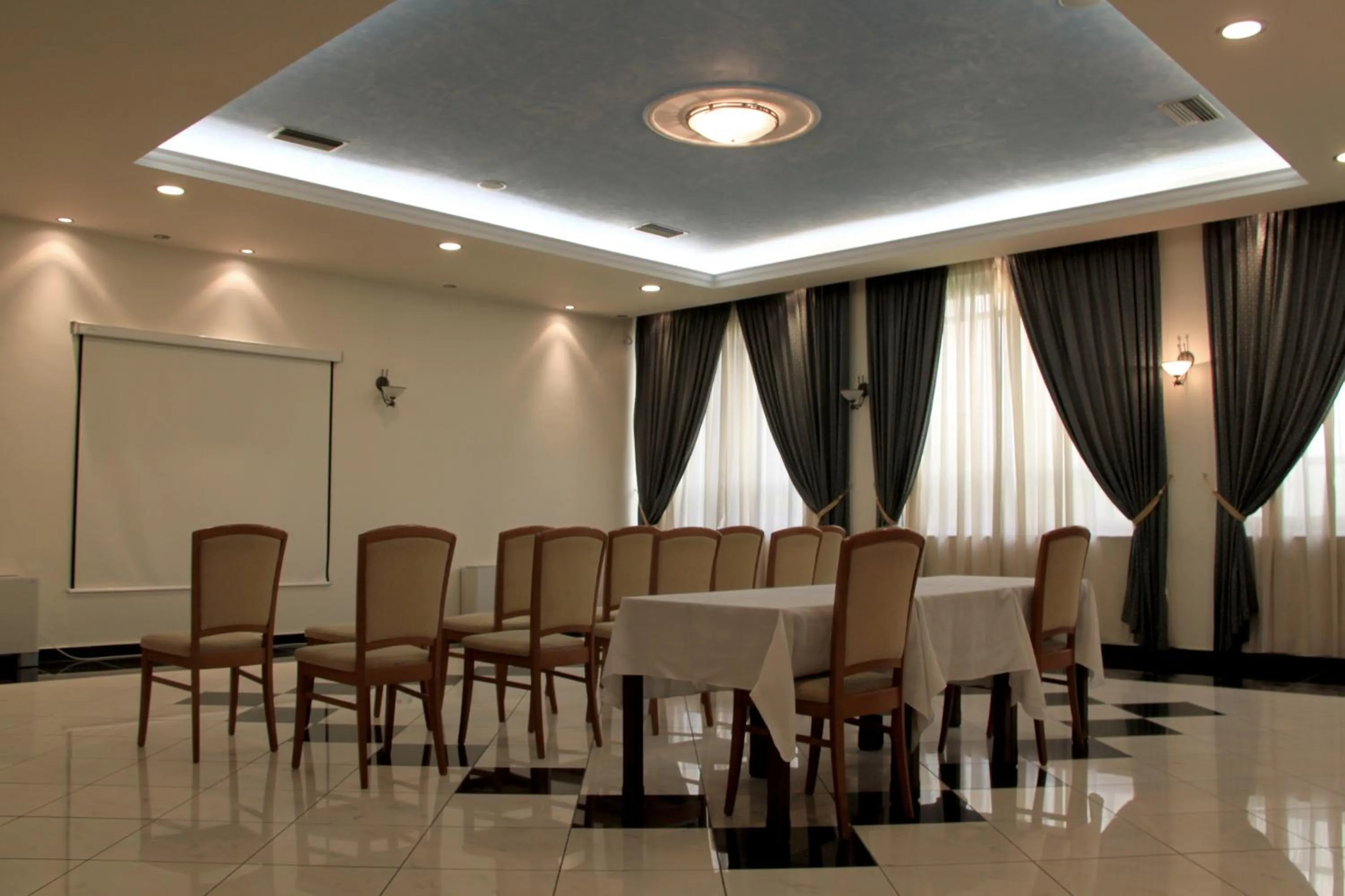Business facilities in Hotel Platon