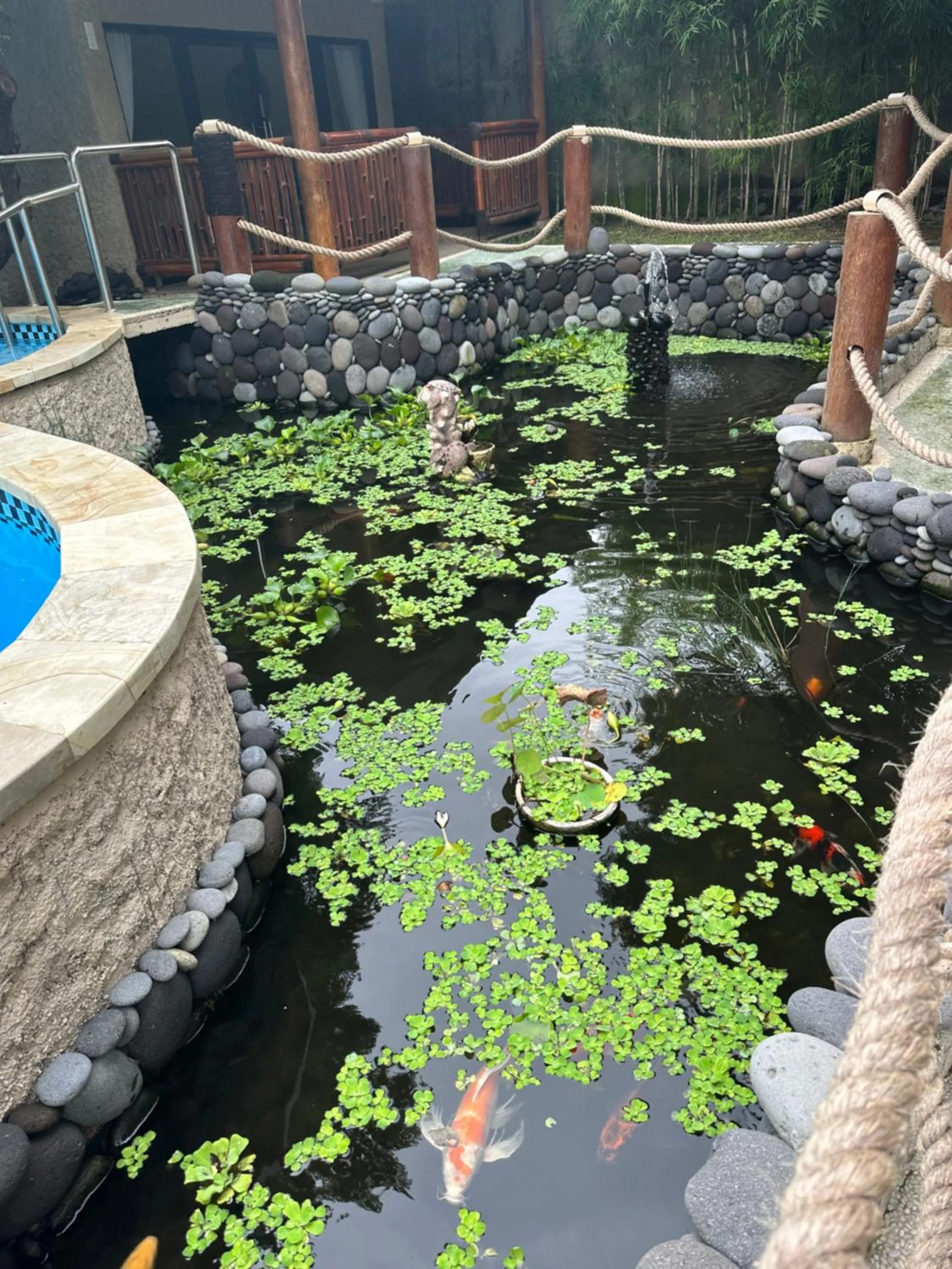 Property building in Lunar Dive Resort: Bamboo Villas