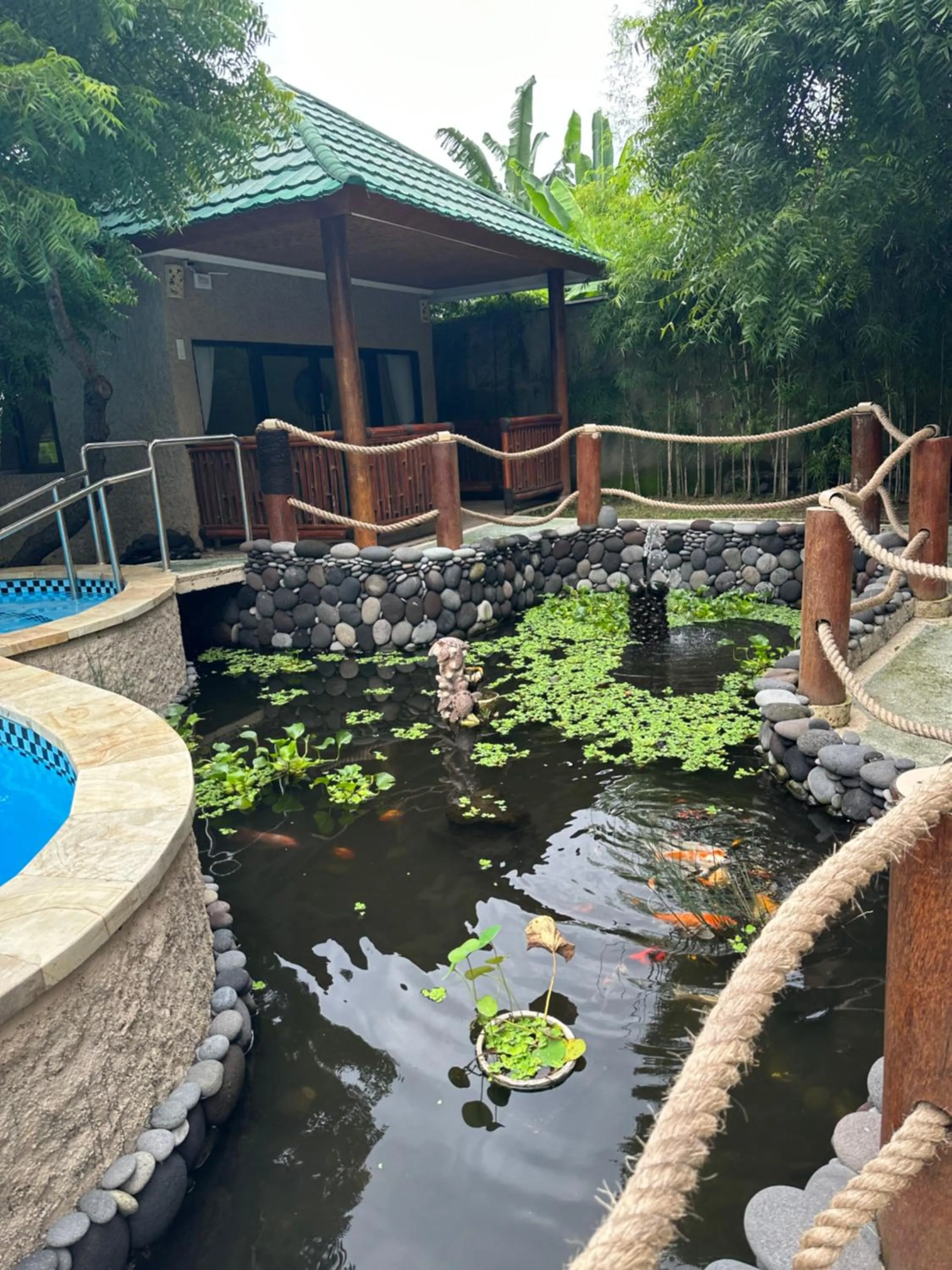 Property building in Lunar Dive Resort: Bamboo Villas