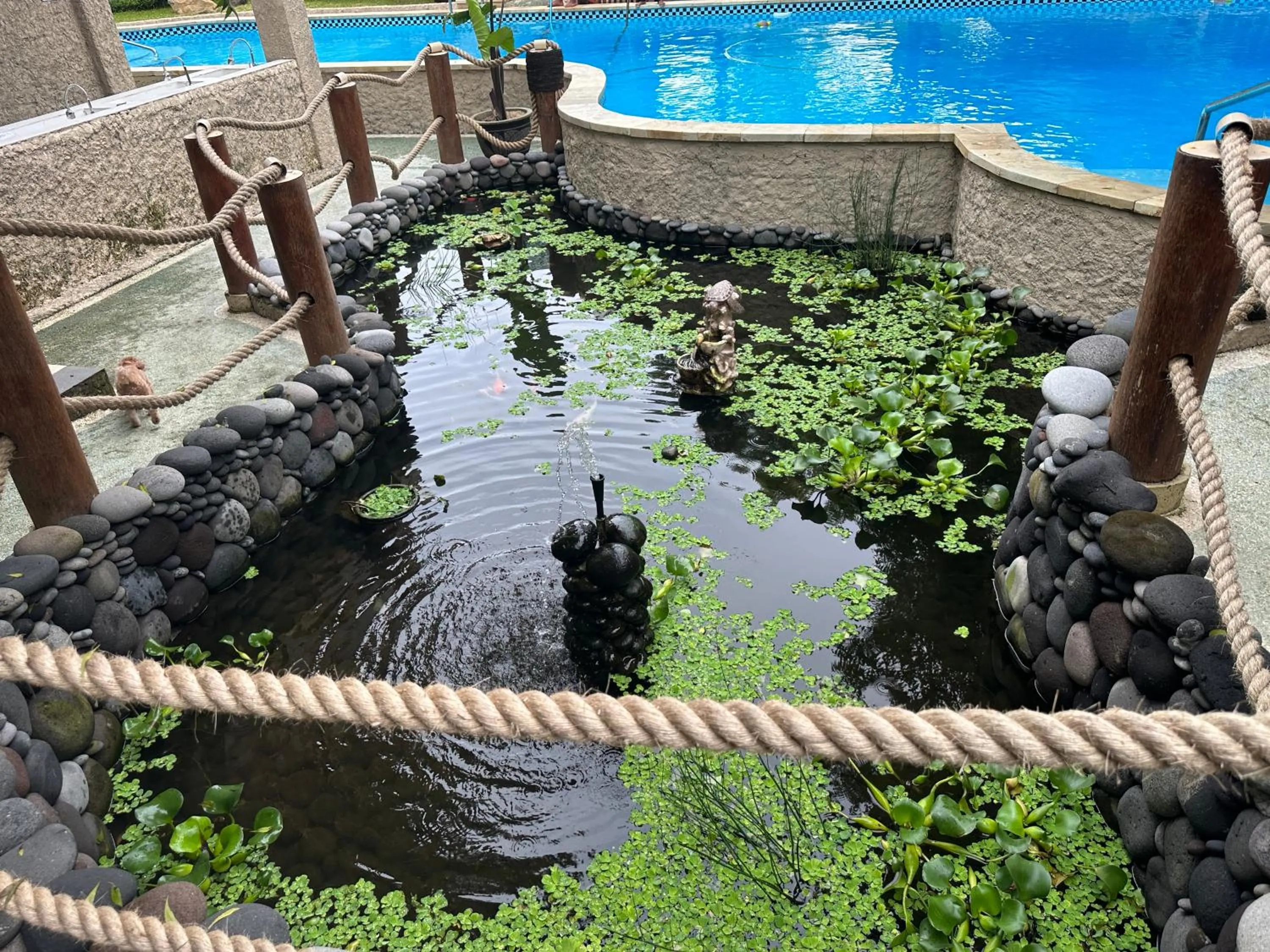 Property building in Lunar Dive Resort: Bamboo Villas