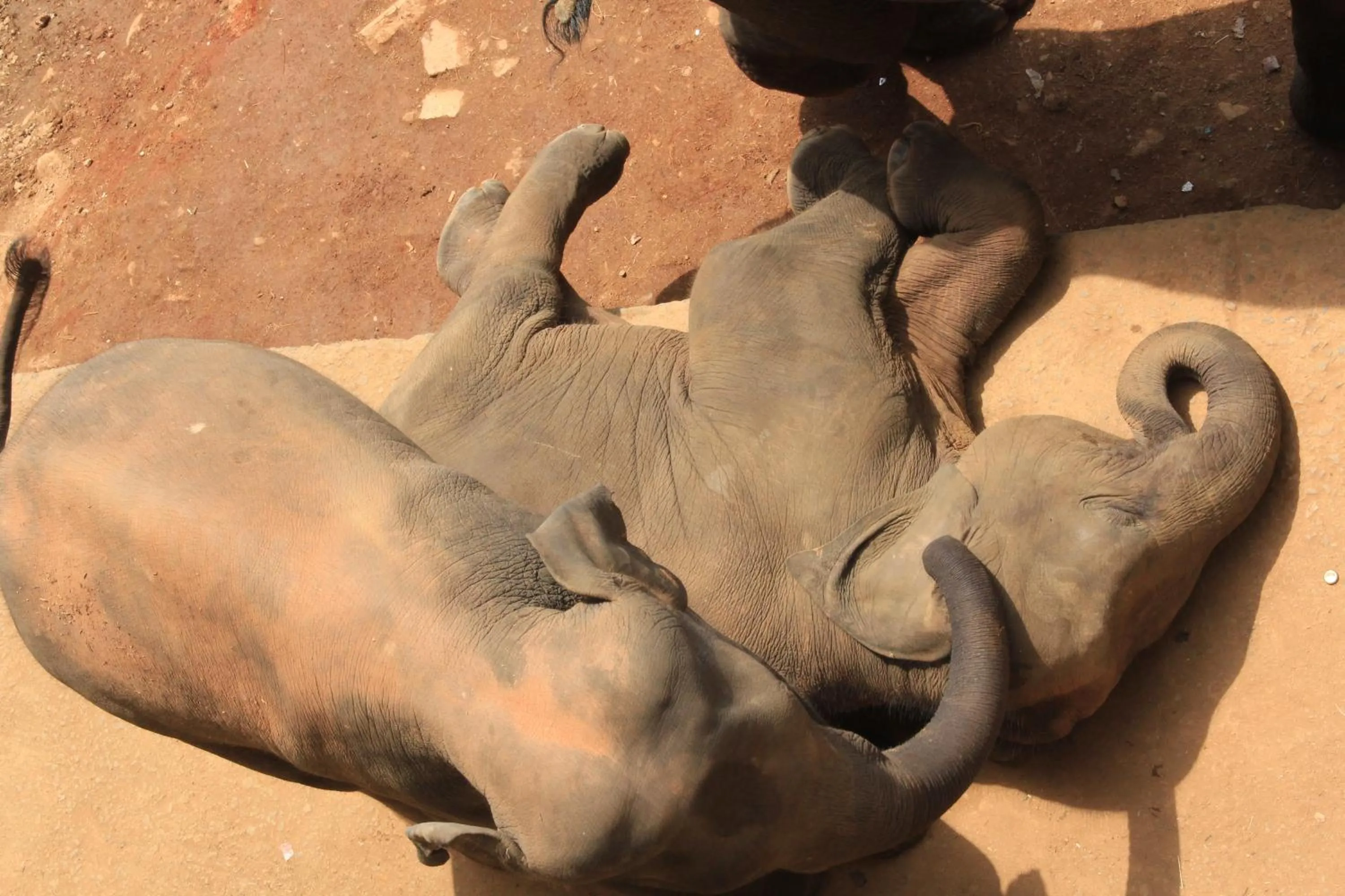 Other in Hotel Pinnalanda - NEW DEAL! Exclusive Offers on Pickups Available!