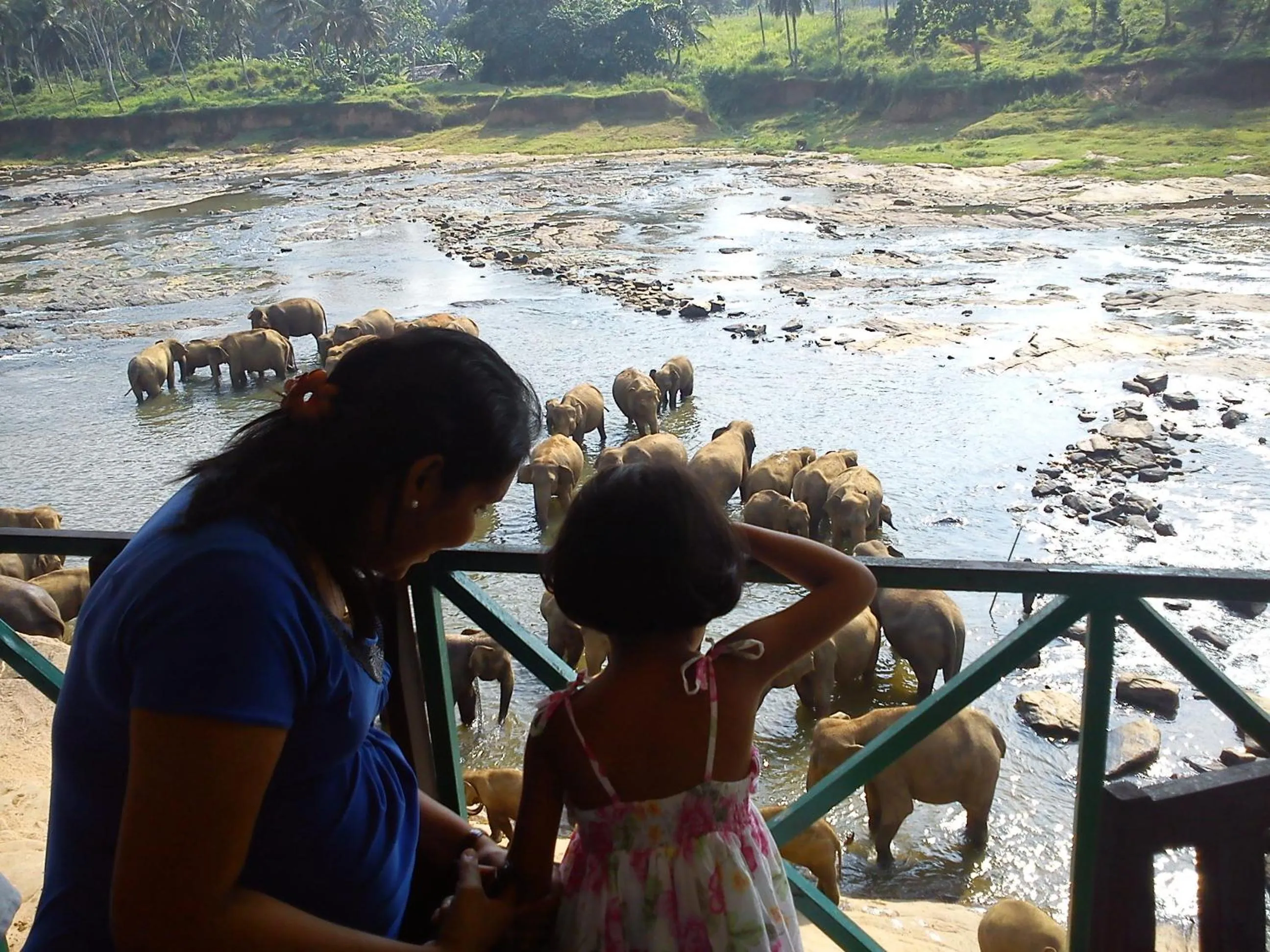 Other in Hotel Pinnalanda - NEW DEAL! Exclusive Offers on Pickups Available!