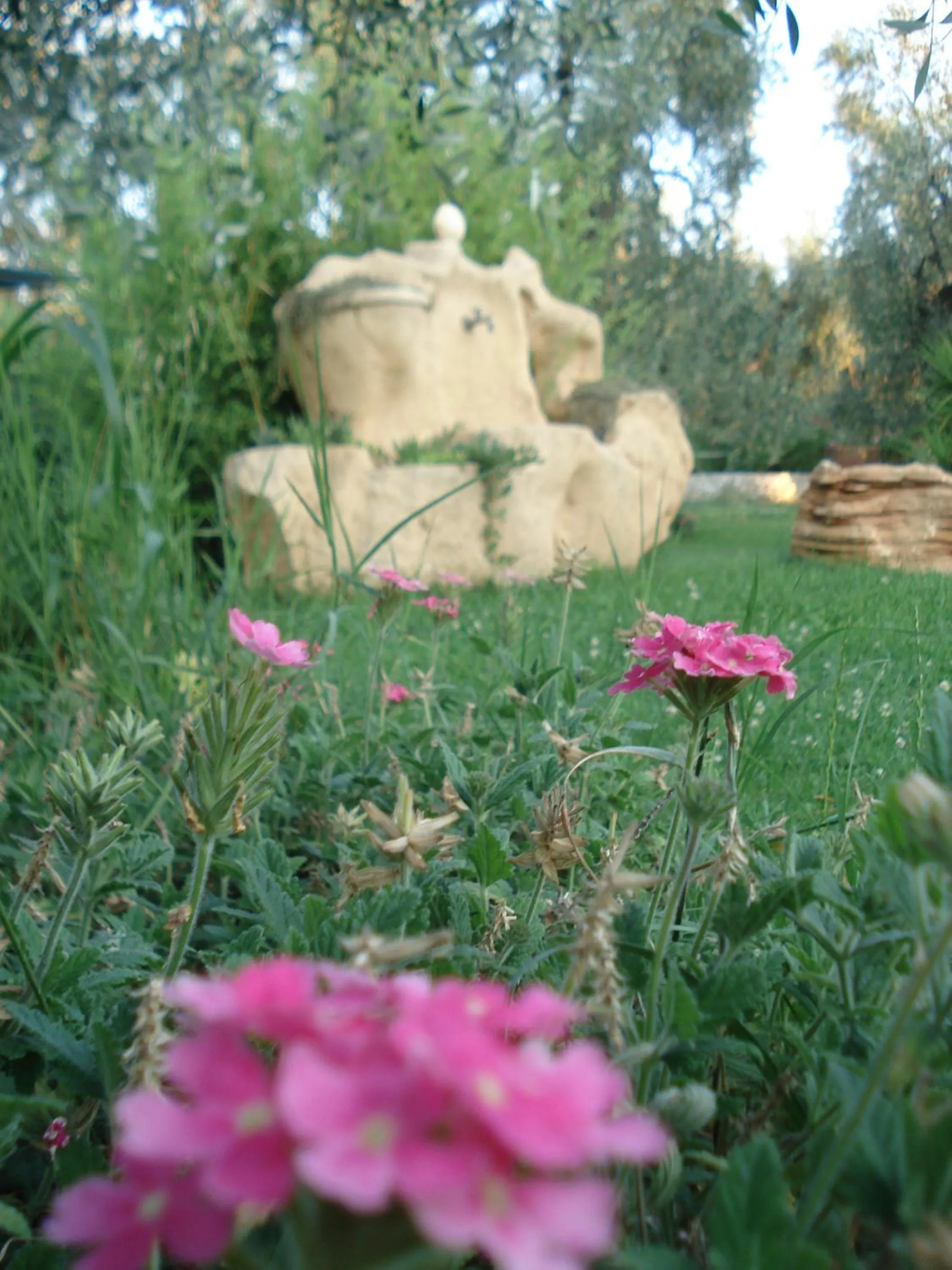 Day in Villa Fenice Bed & Breakfast