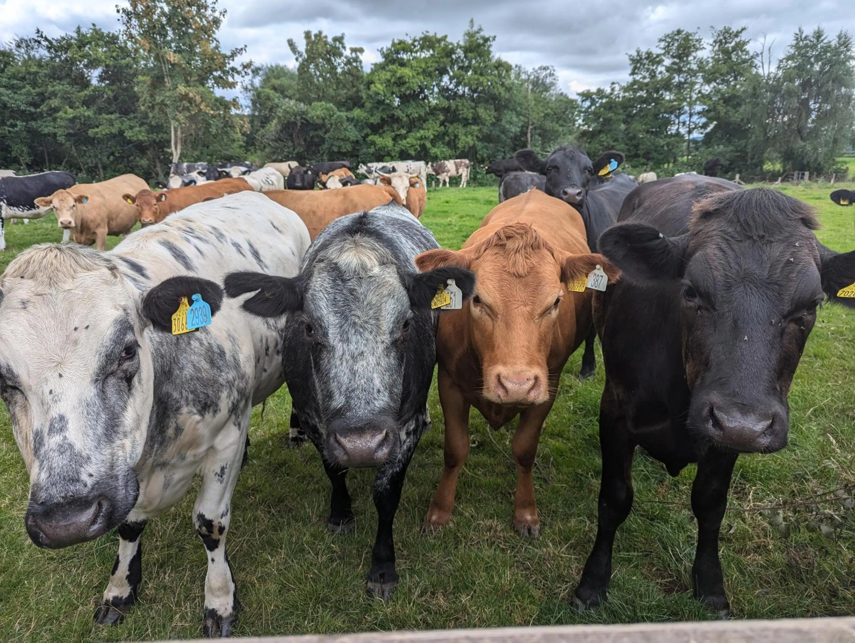View (from property/room) in The Agents House, Bed & Breakfast