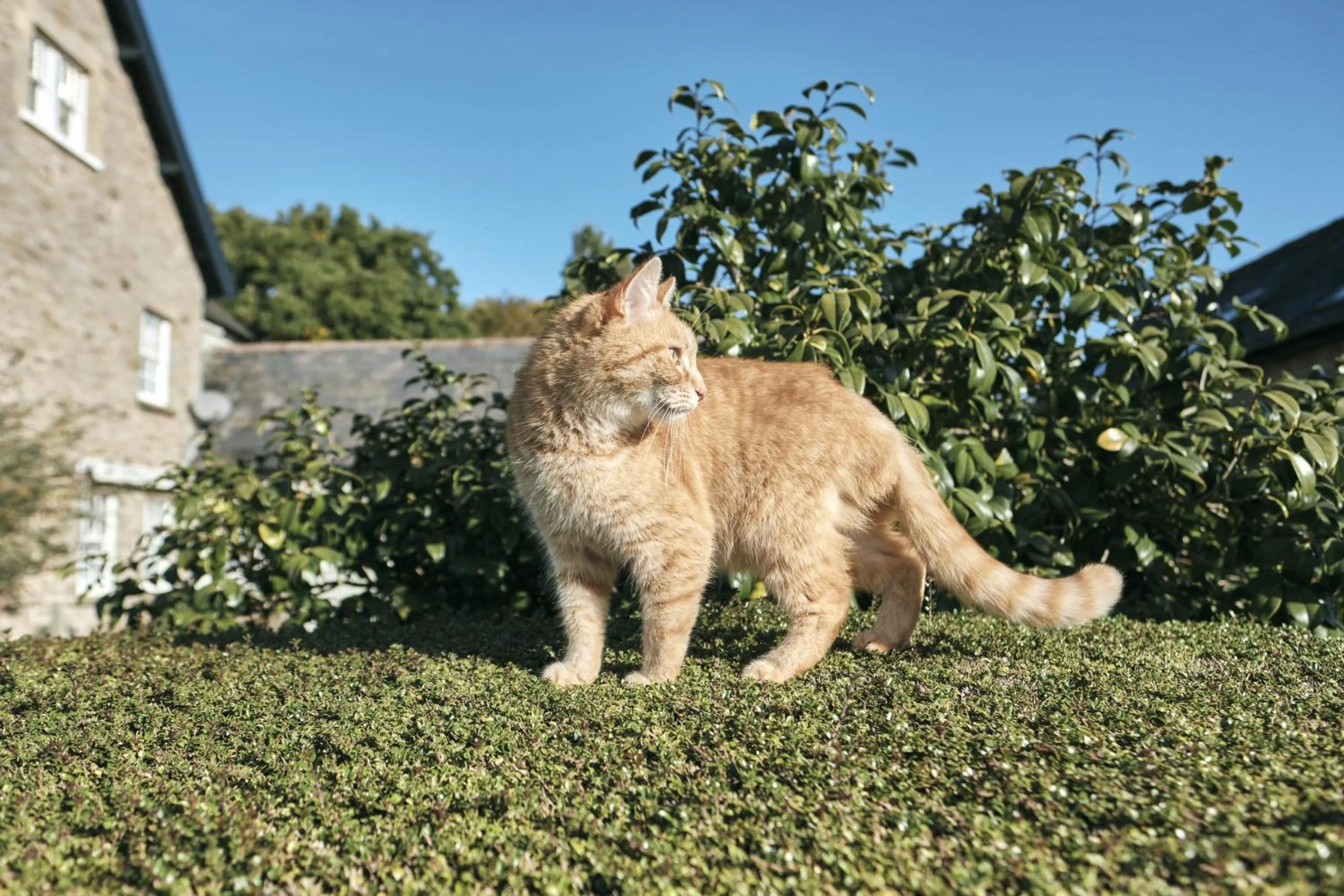 Property building in The Agents House, Bed & Breakfast