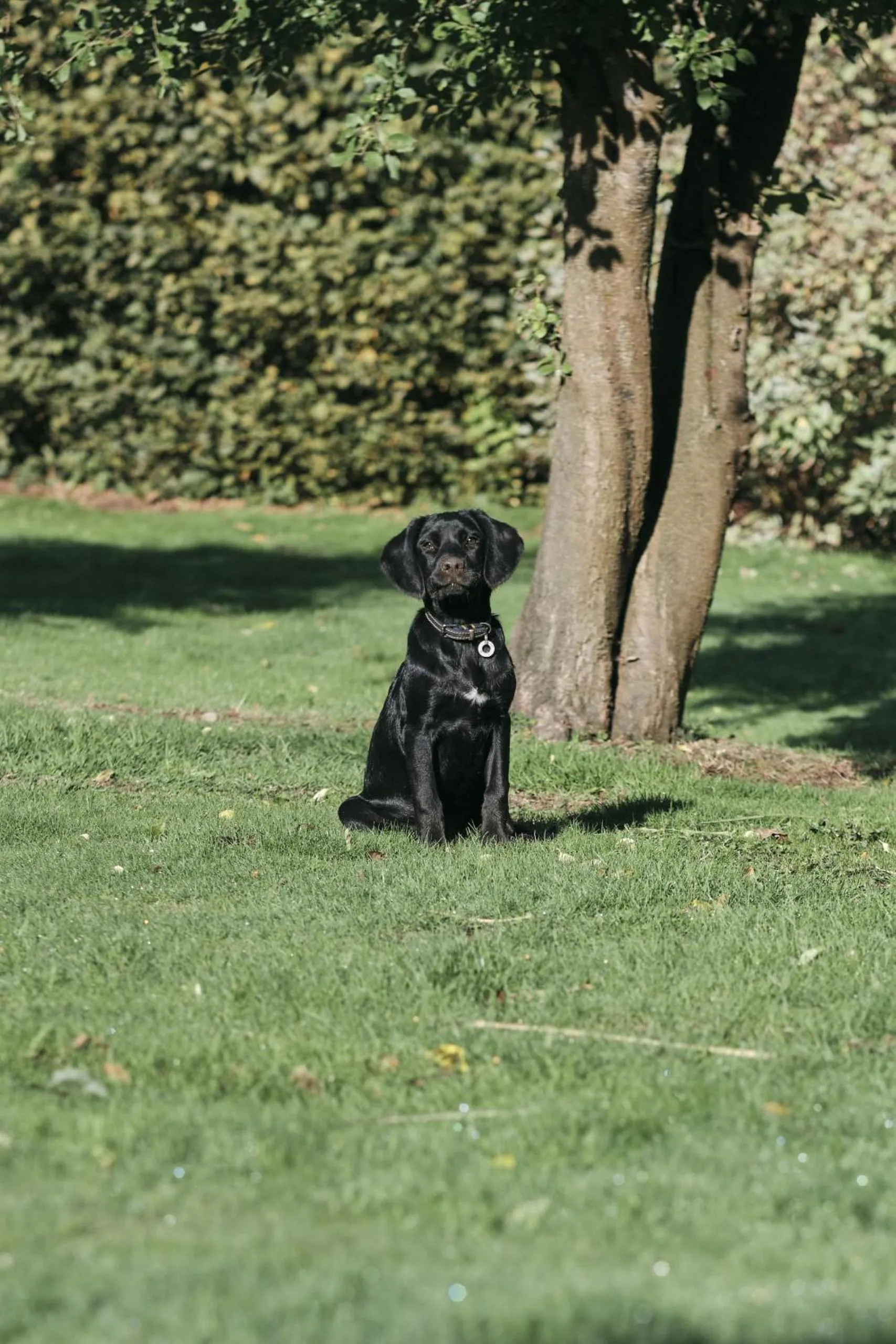 Garden in The Agents House, Bed & Breakfast
