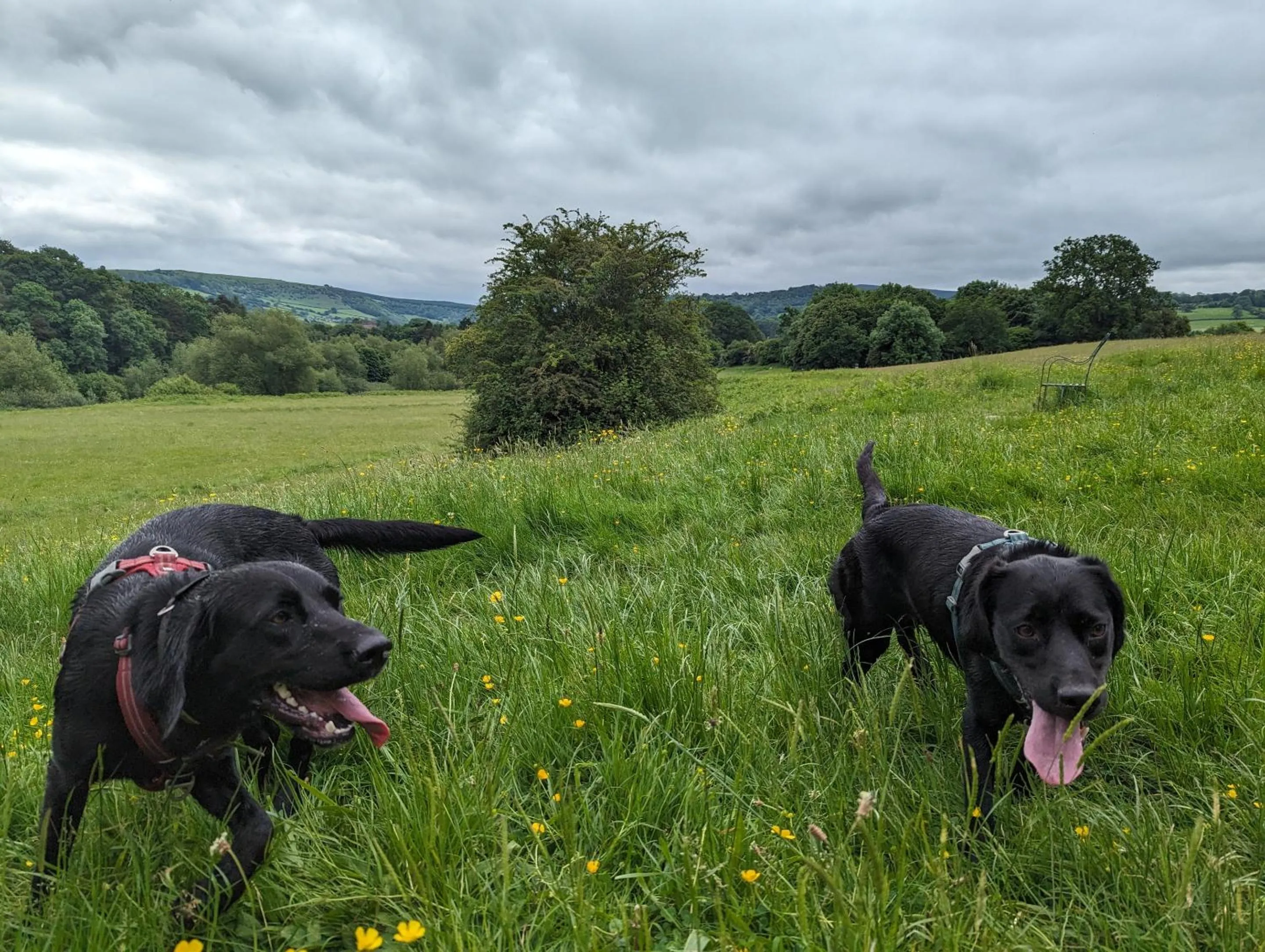 Natural landscape in The Agents House, Bed & Breakfast