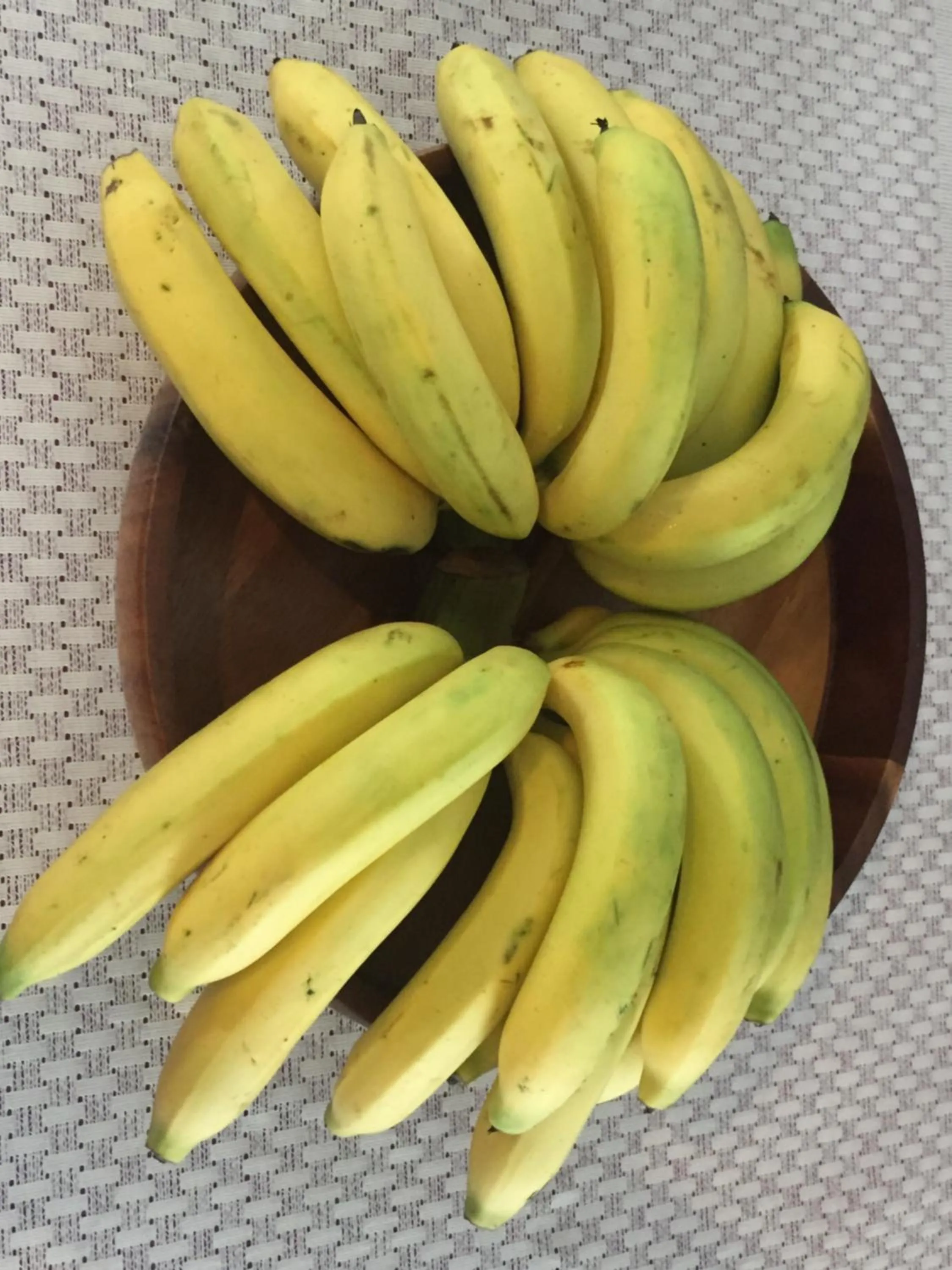 Food in Nordwind Hotel