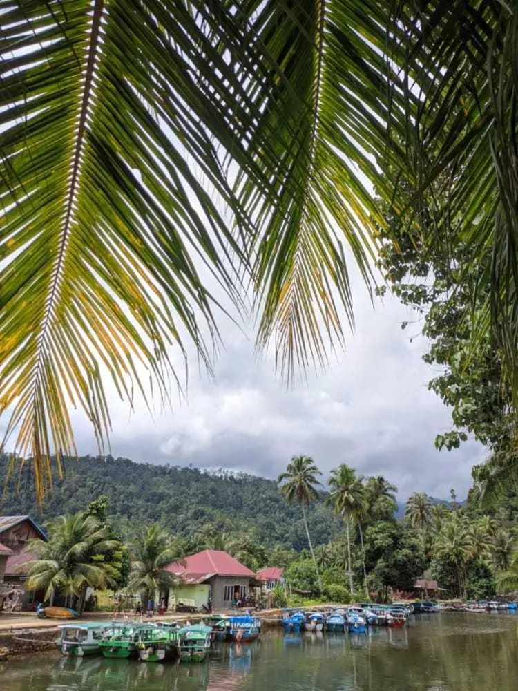 Facade/entrance in EXPRESS O 91702 Mandeh Homestay Syariah Near Bank Nagari PT Bank Pembangunan Daerah (BPD) Sumbar Cabang Painan