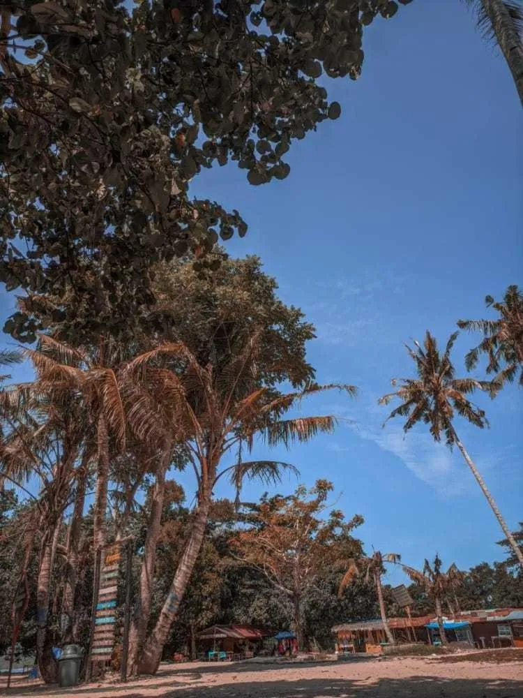 Facade/entrance in EXPRESS O 91702 Mandeh Homestay Syariah Near Bank Nagari PT Bank Pembangunan Daerah (BPD) Sumbar Cabang Painan