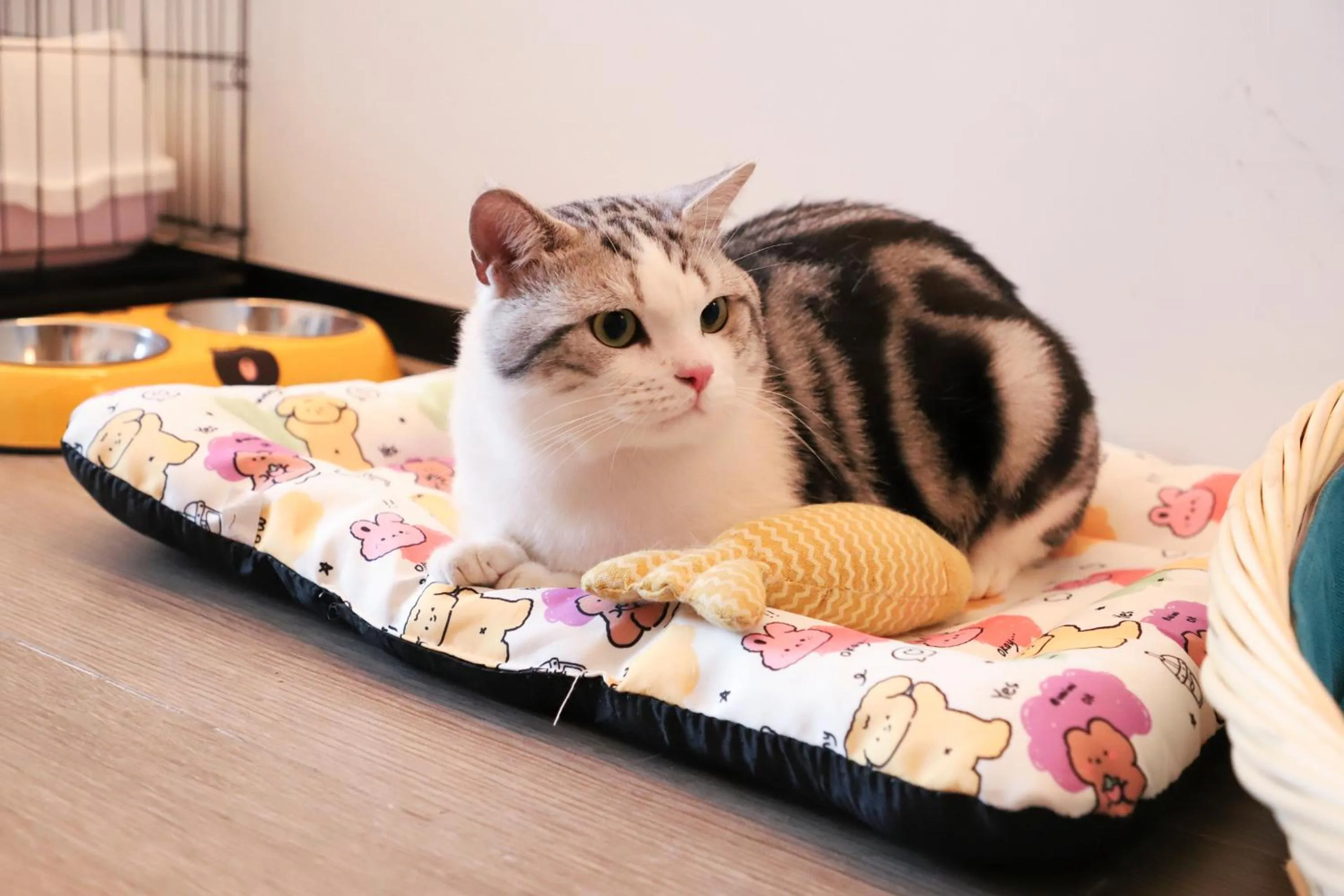 Animals in Wanda Jin Xiaohe Xincheng