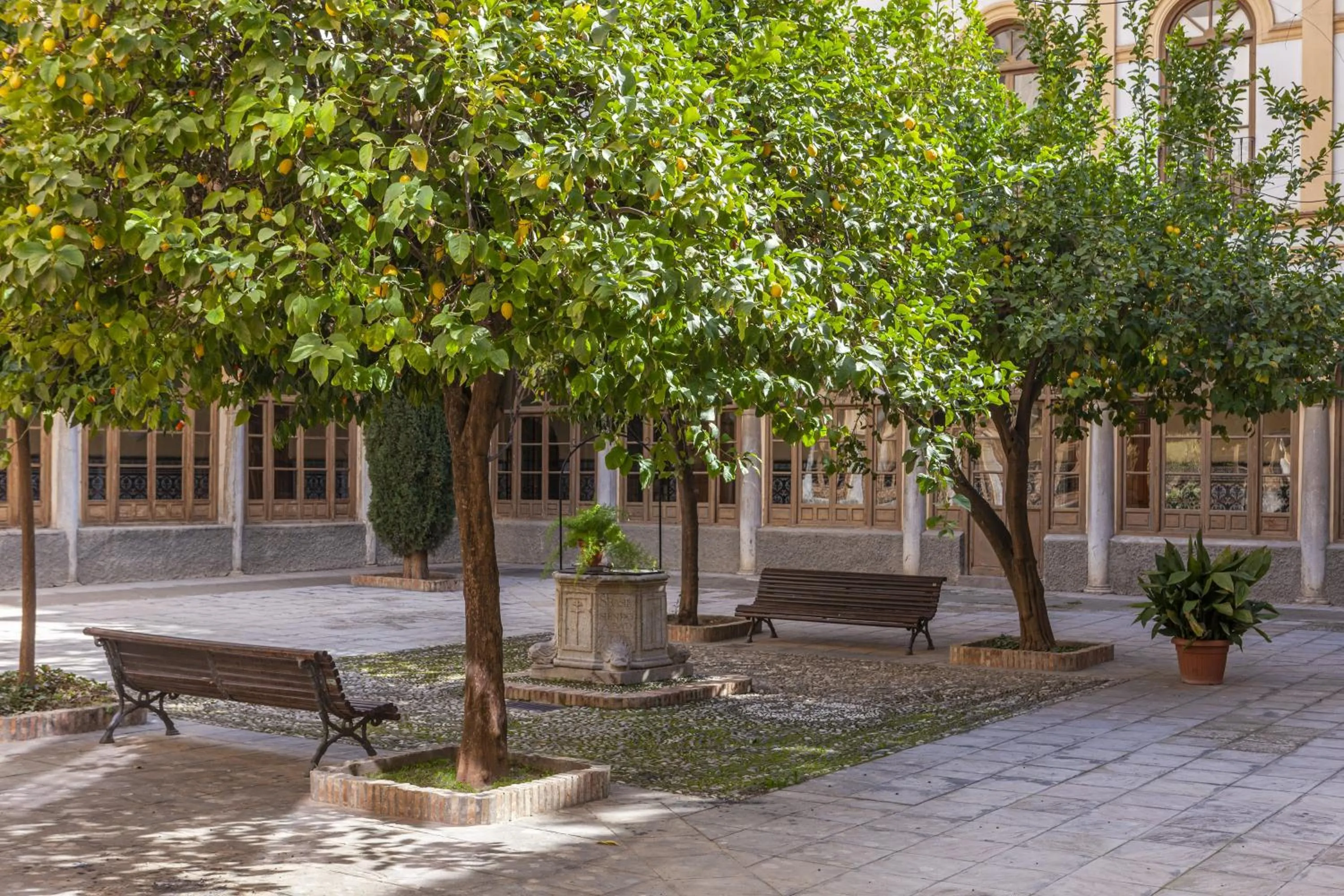 Area and facilities in Hotel Macià Monasterio de los Basilios