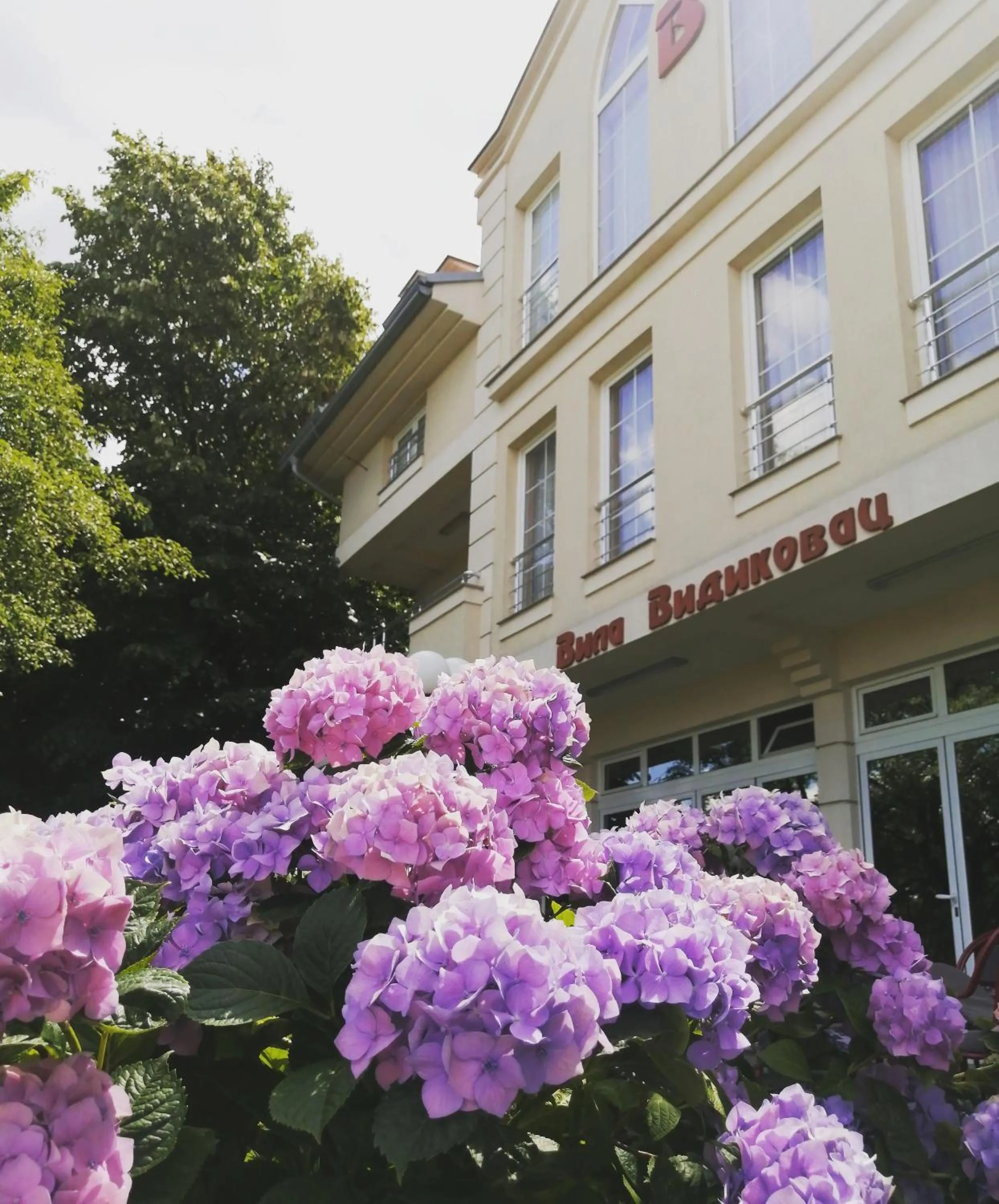 Property building in Vila Vidikovac Arandjelovac