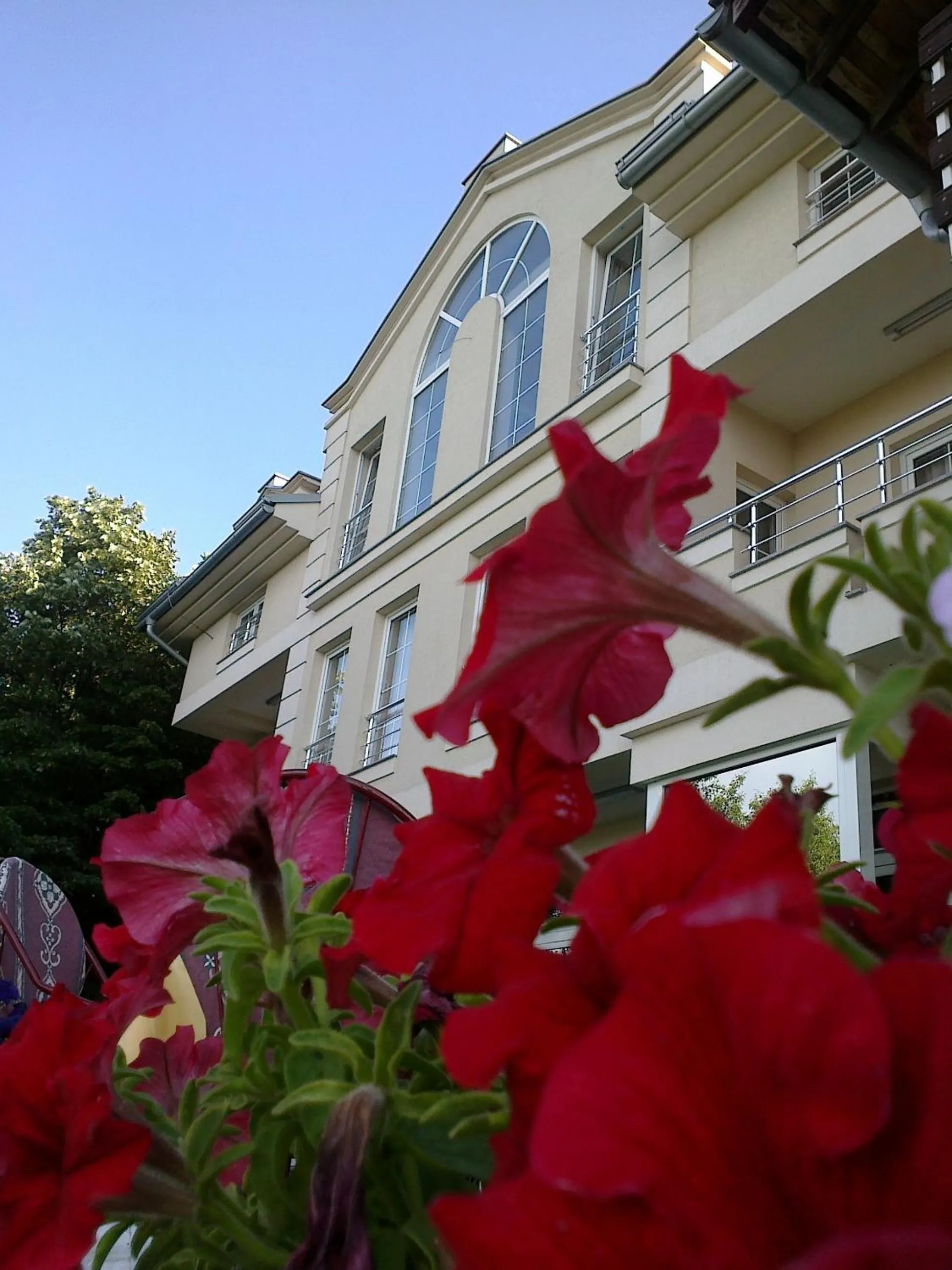 Property building in Vila Vidikovac Arandjelovac