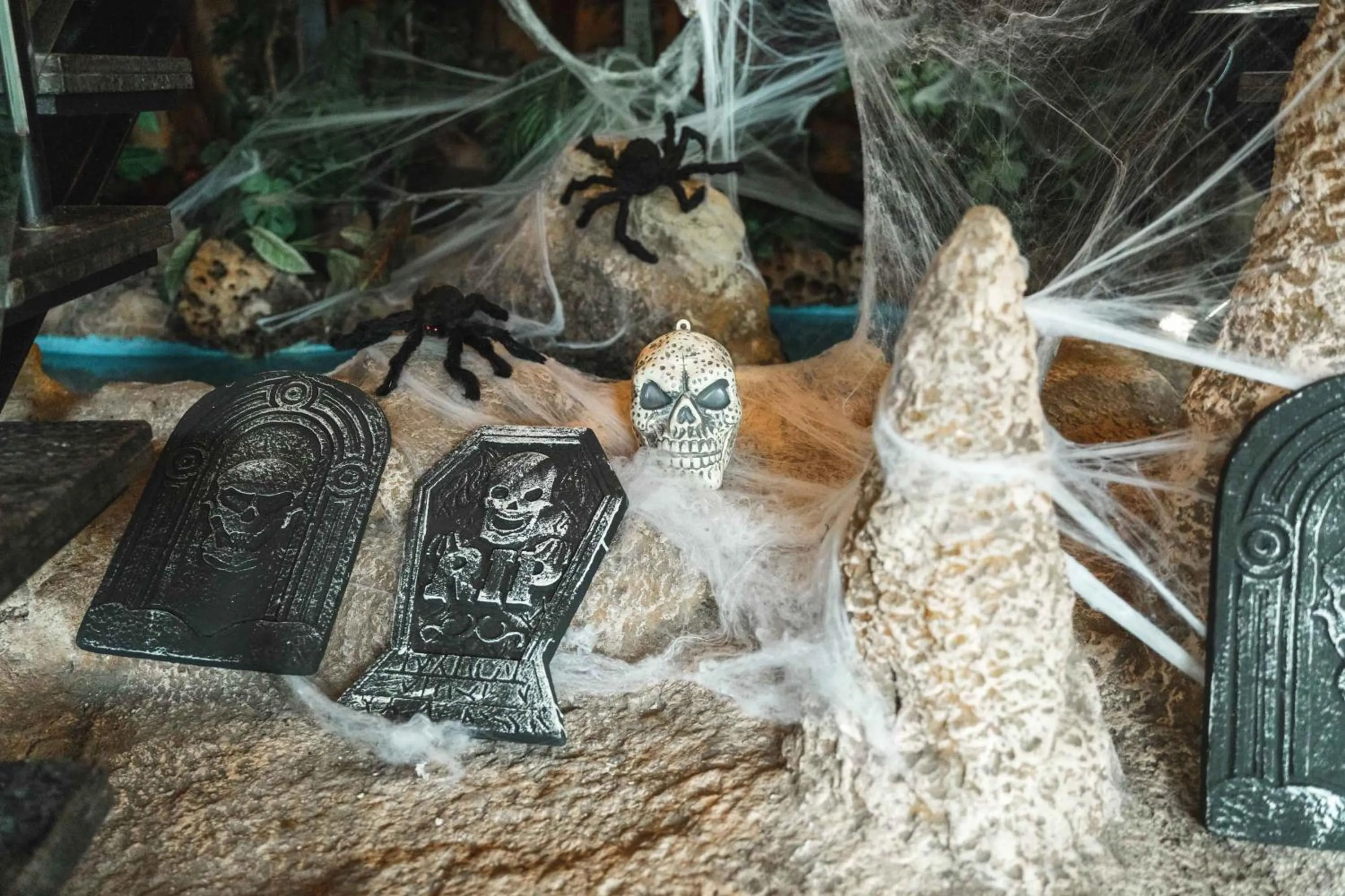 Magic Aqua Rock Gardens