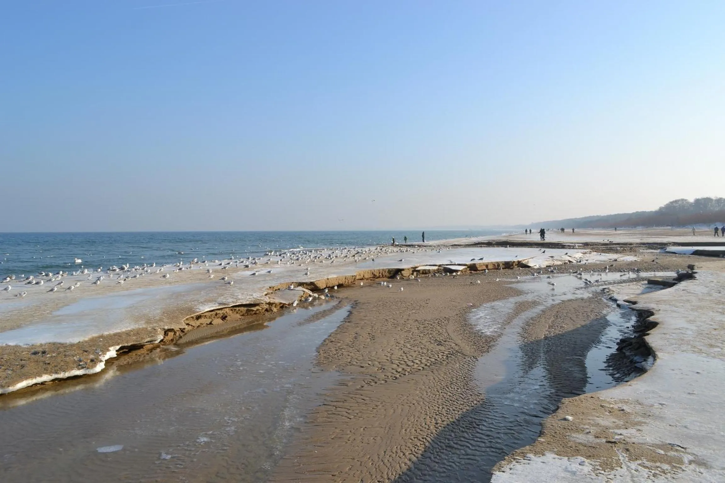 Beach in Willa Jelitkowska