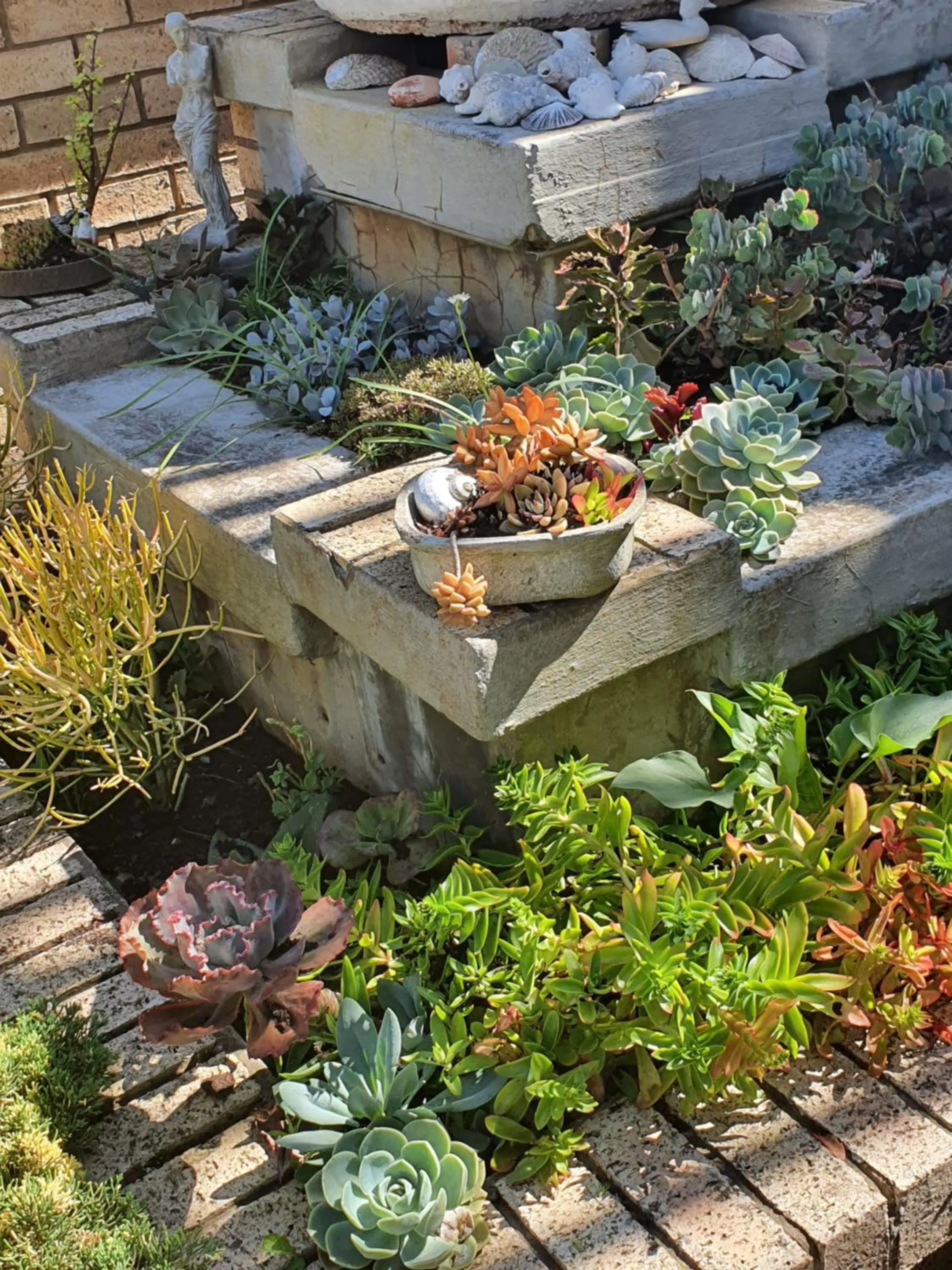 Garden in Villa Majestic for Exclusive Accommodation