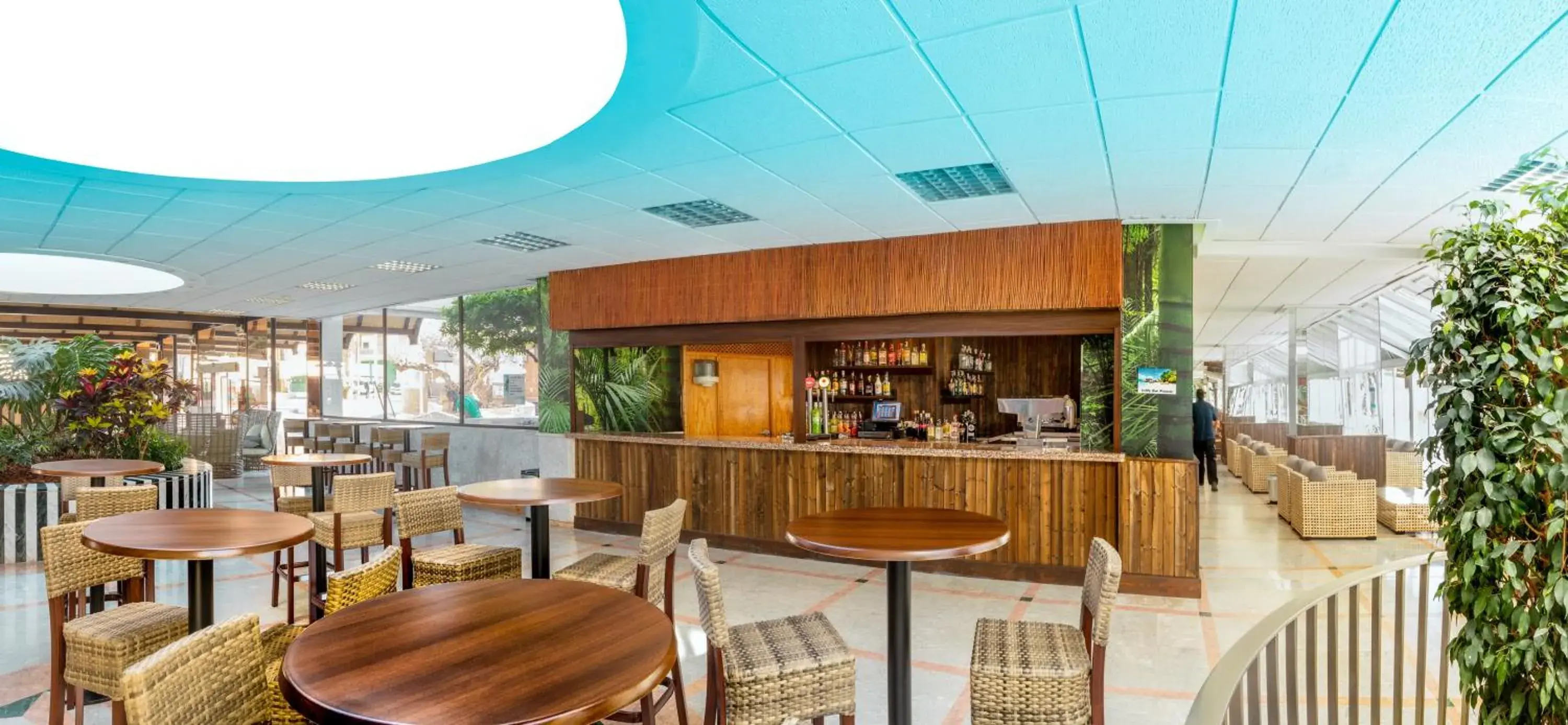 Lounge or bar in Magic Tropical Splash Lounge or bar in Magic Tropical Splash