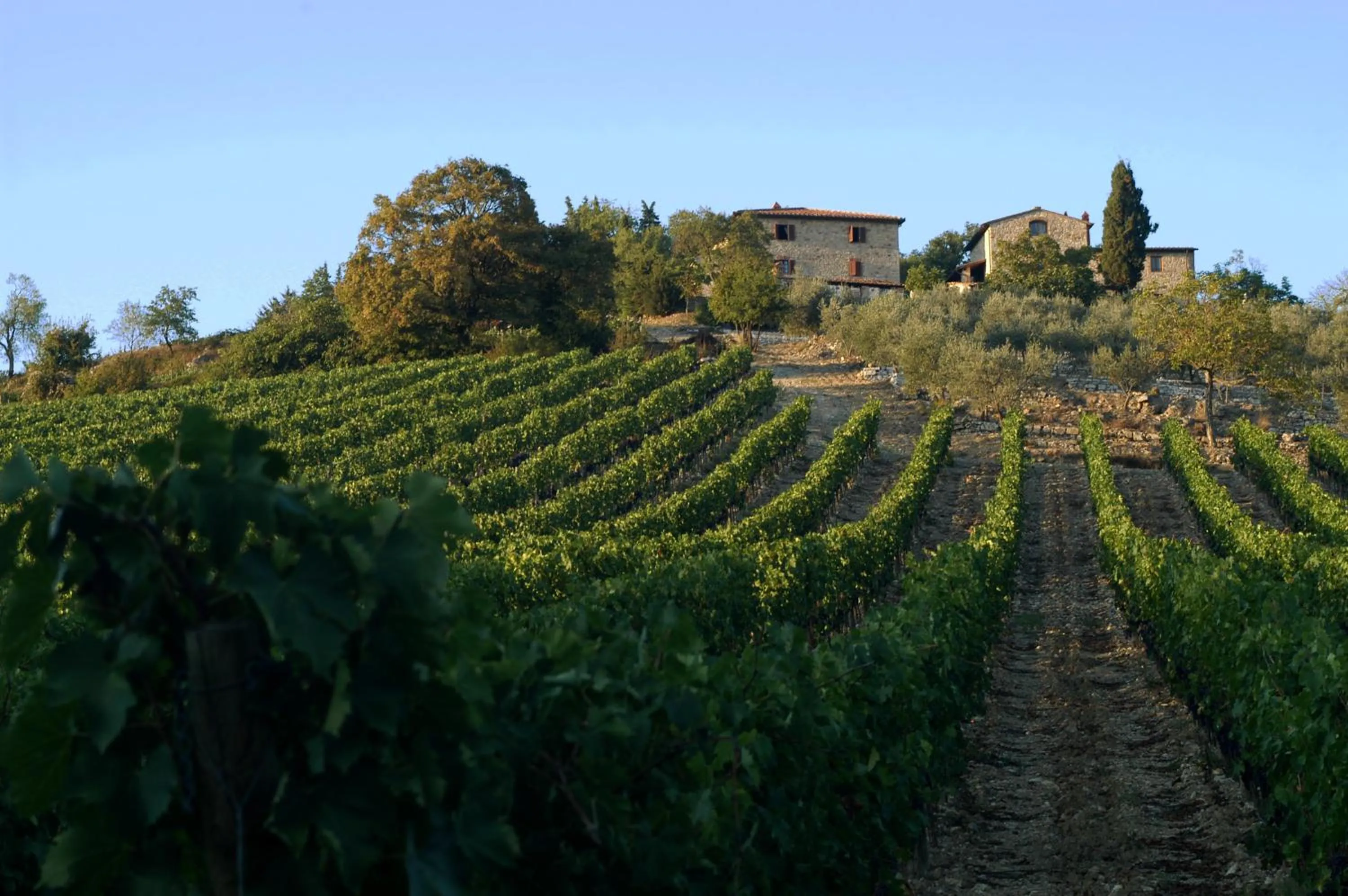 View (from property/room) in Collelungo