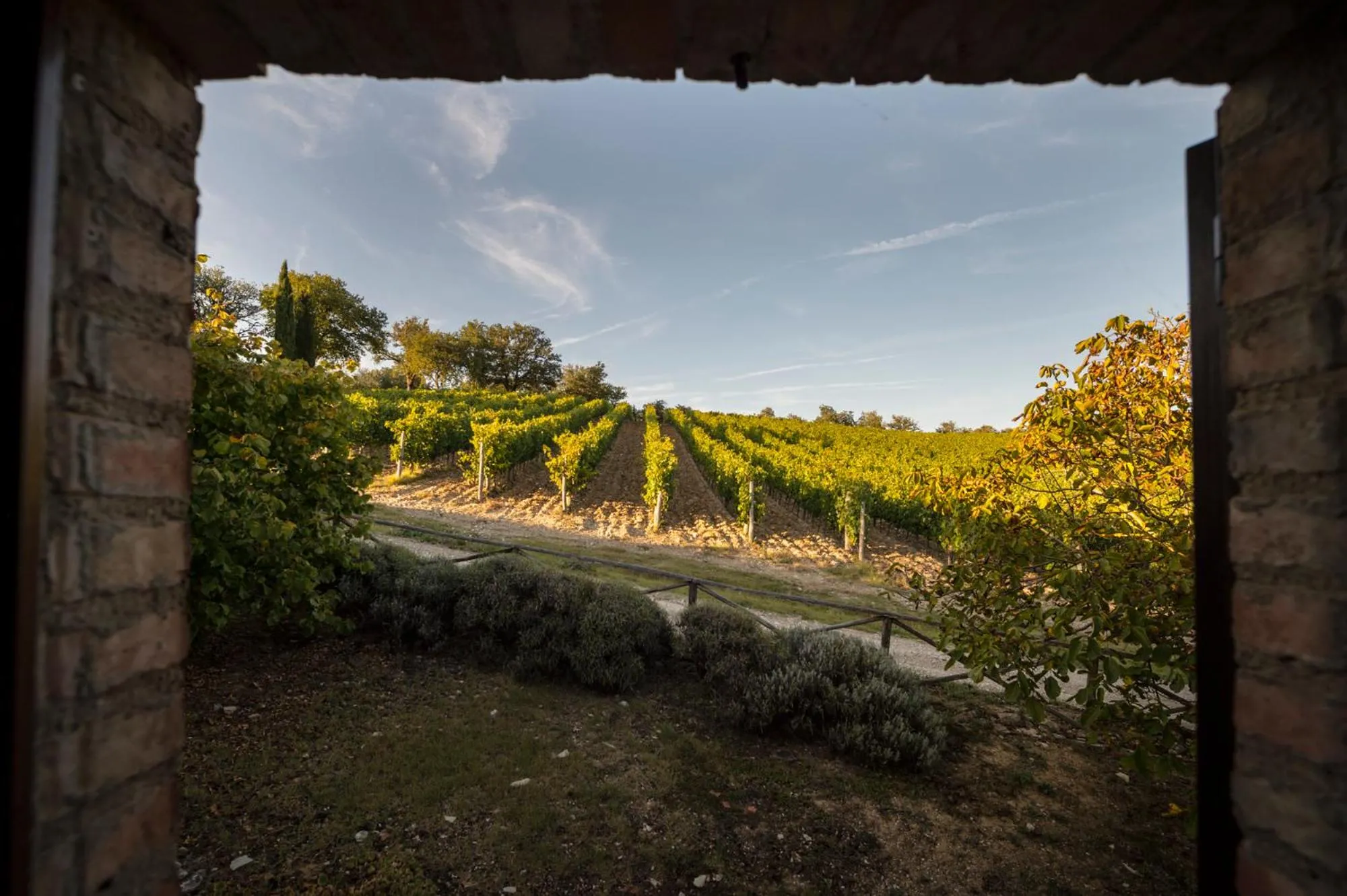 View (from property/room) in Collelungo