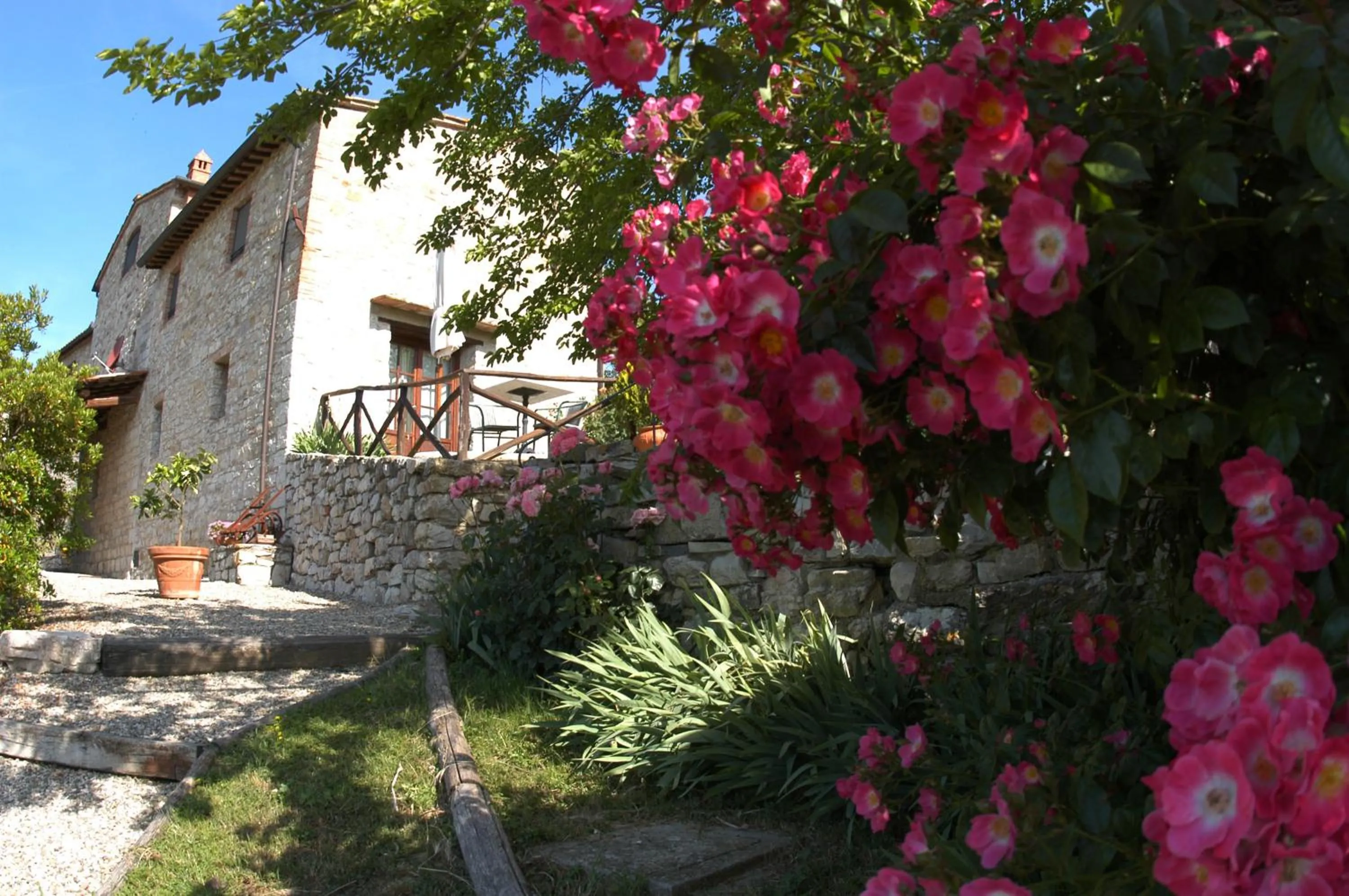 Garden in Collelungo