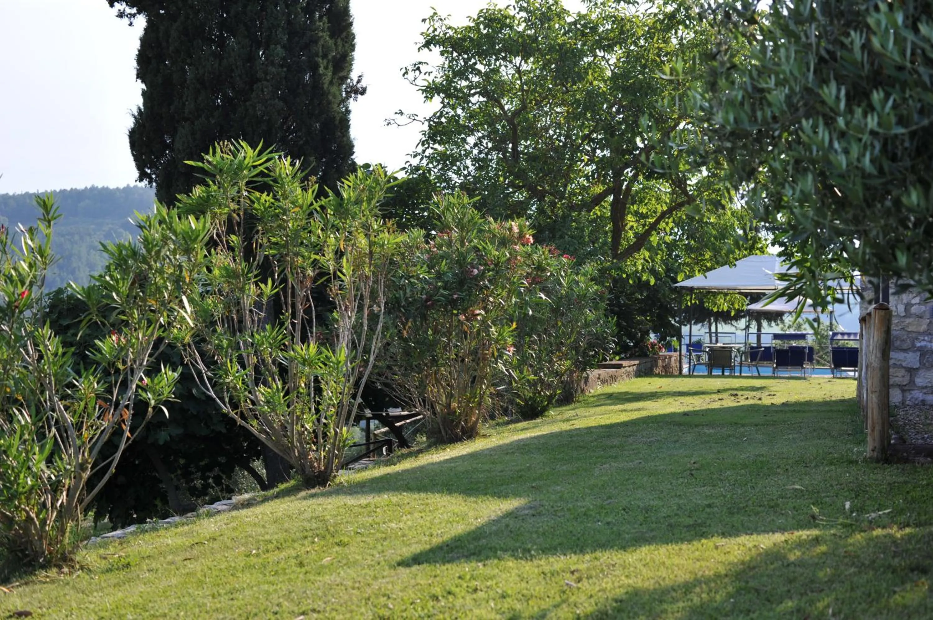 Garden in Collelungo