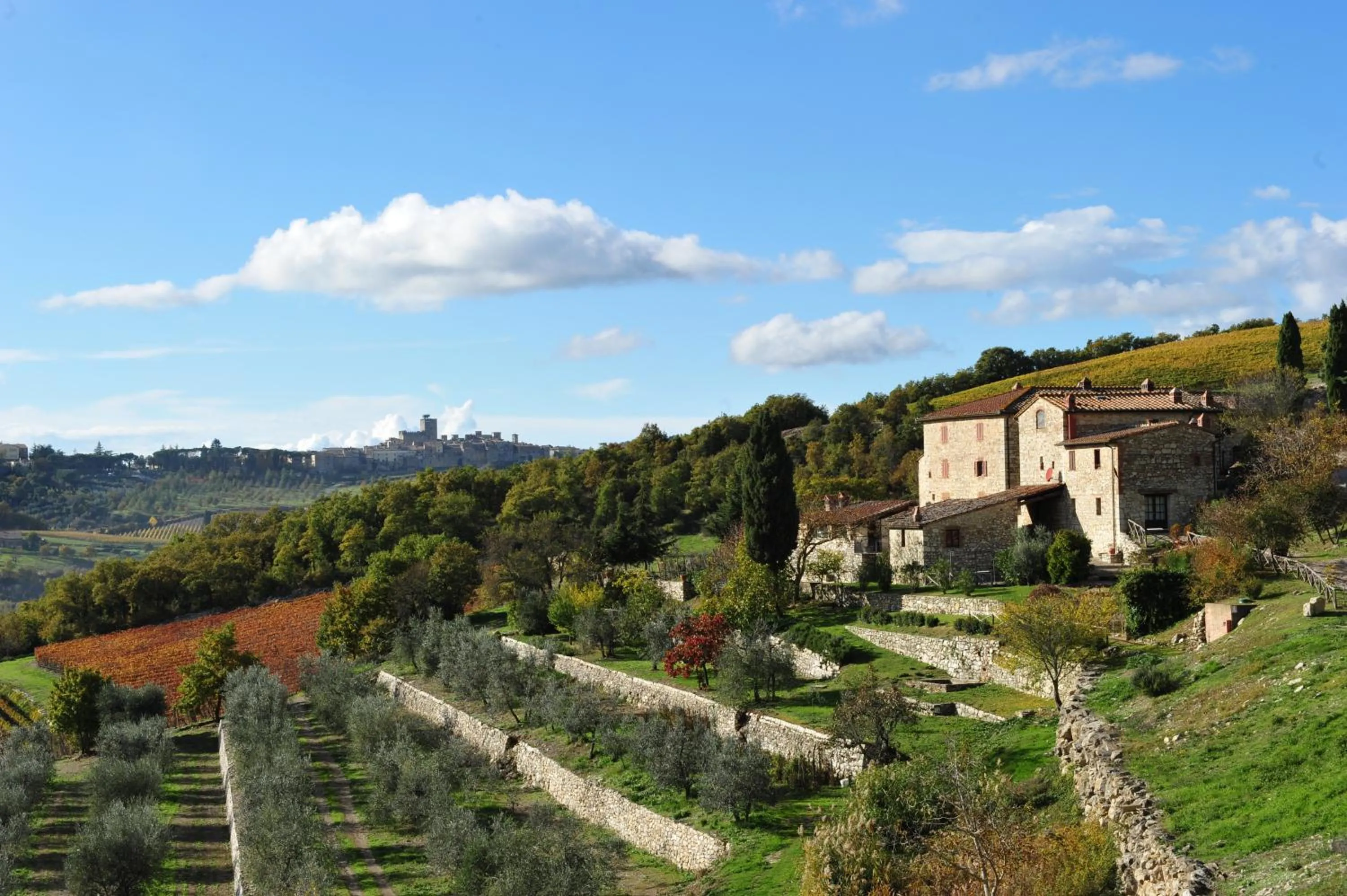 Area and facilities in Collelungo